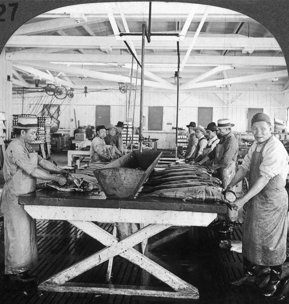 Chinese built the US salmon canning industry. ‘Iron Chink’ invention ...