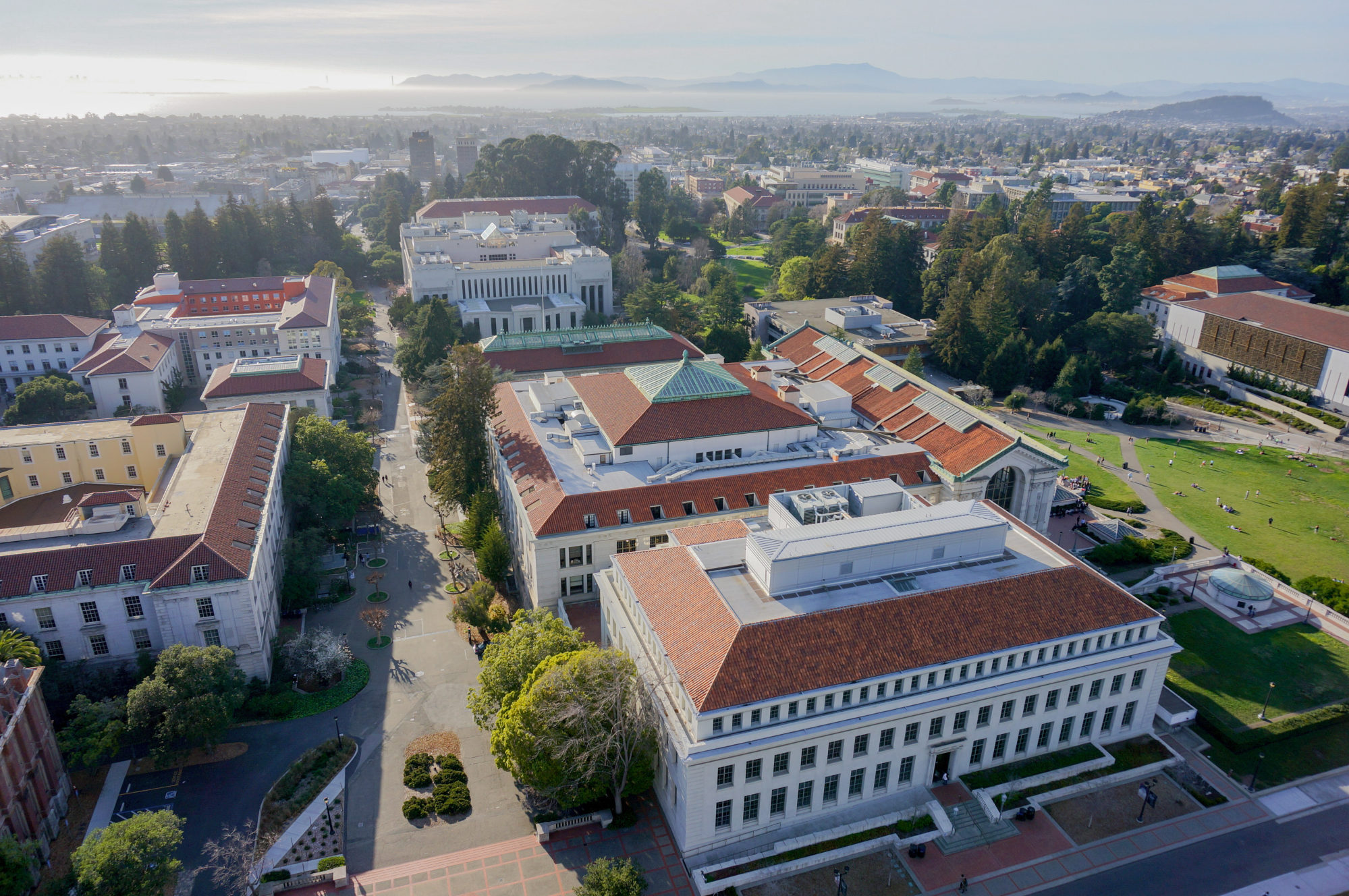 Wong attended the University of California, Berkeley, in the US.