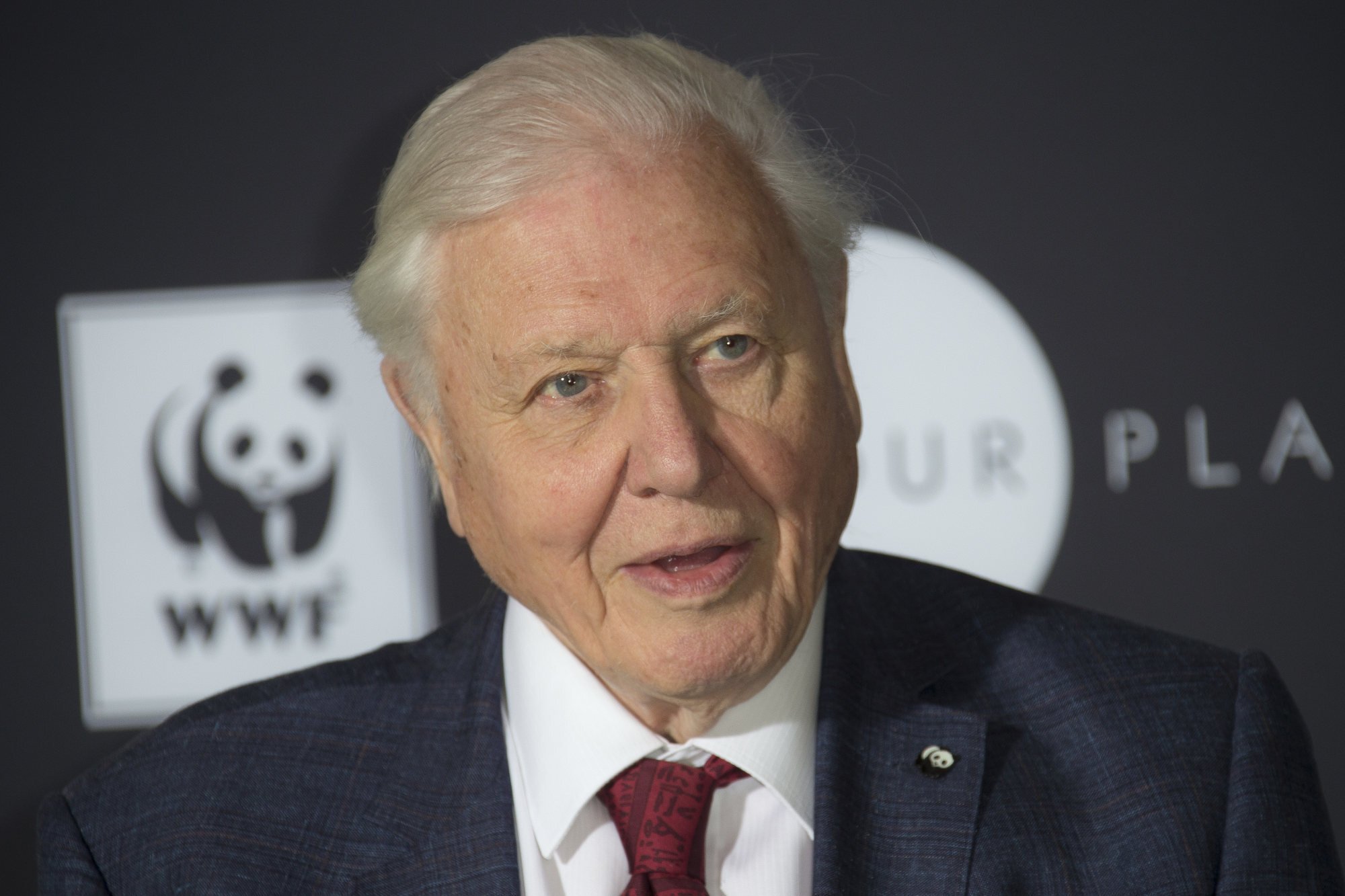 Veteran British broadcaster Sir David Attenborough poses for photographers at Westminster Central Hall, London, in 2018. Photo: AP