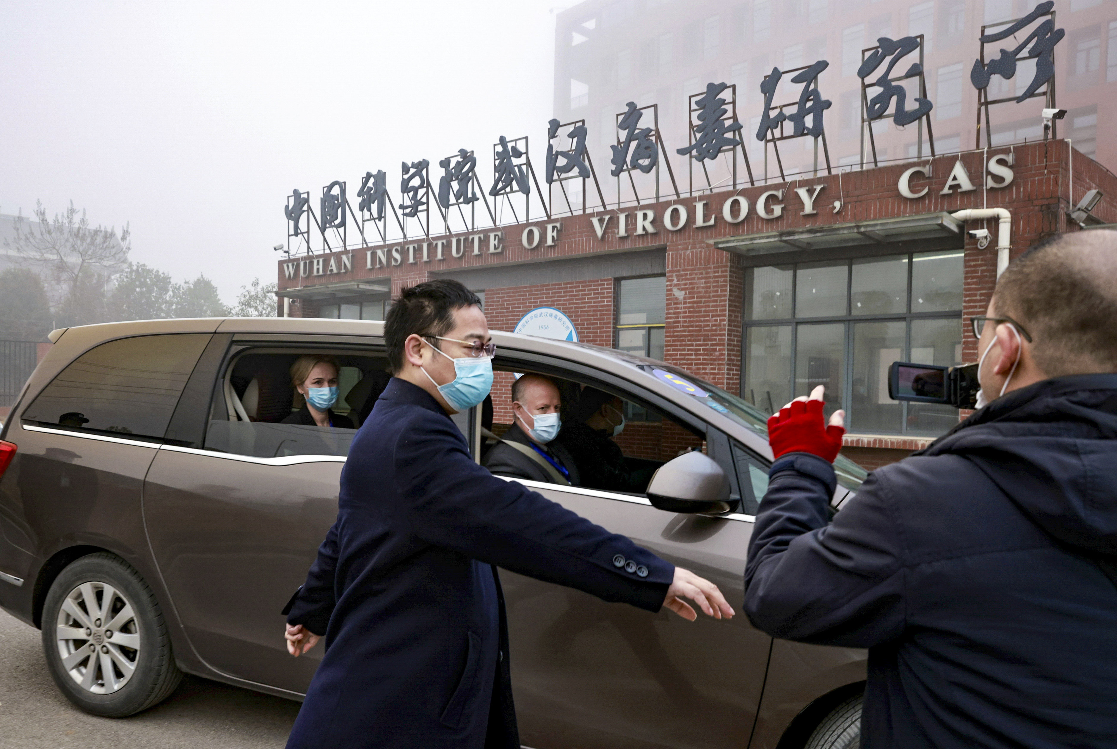 Peter Daszak, the head of EcoHealth Alliance, and other members of the WHO team tasked with investigating the origins of the coronavirus sit in a car arriving at the Wuhan Institute of Virology. Photo: Reuters