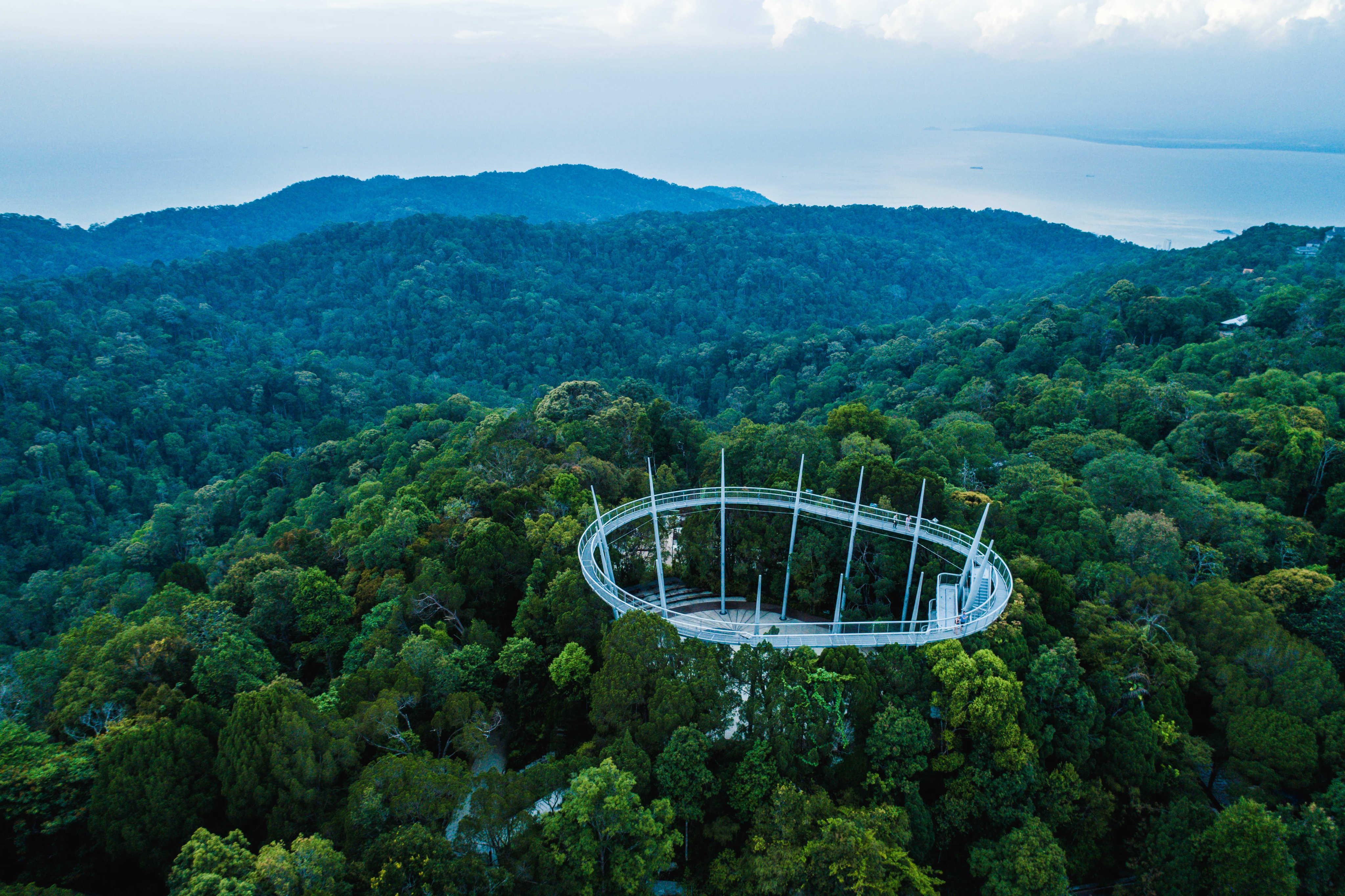 The Curtis Crest Tree Top Walk within The Habitat Penang Hill.