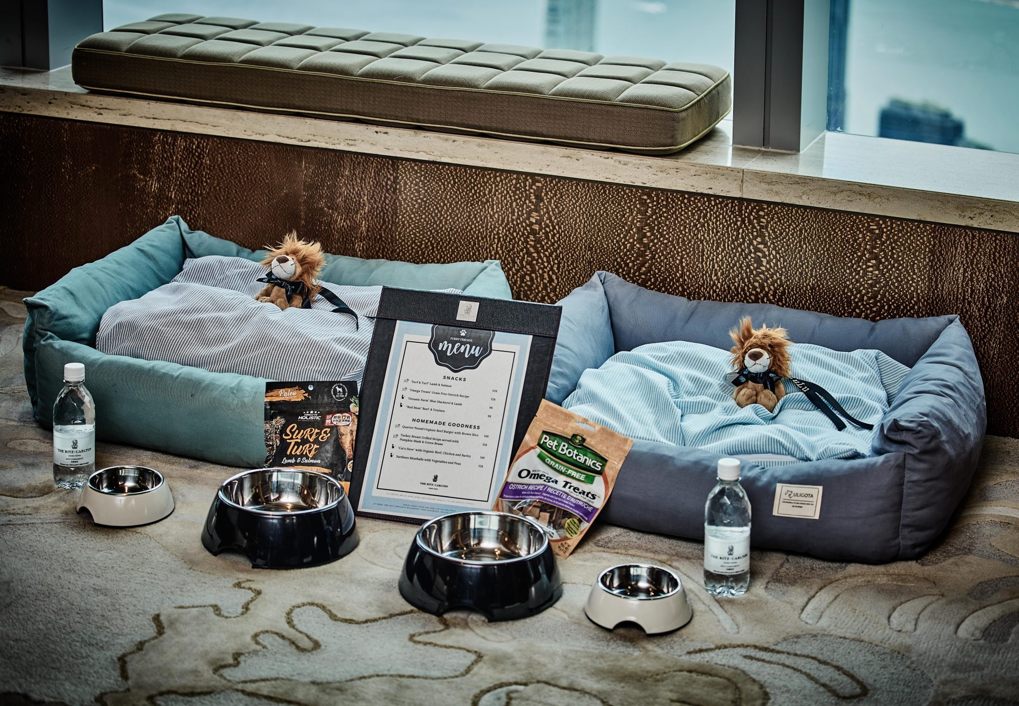 12 Best Pet-Friendly Hotels in Hong Kong for a “Paw-some” Staycation -  Klook Travel Blog