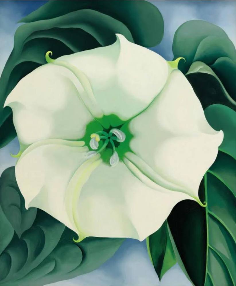 Georgia O’Keeffe’s Jimson Weed/White Flower No 1. Photo: The Observer