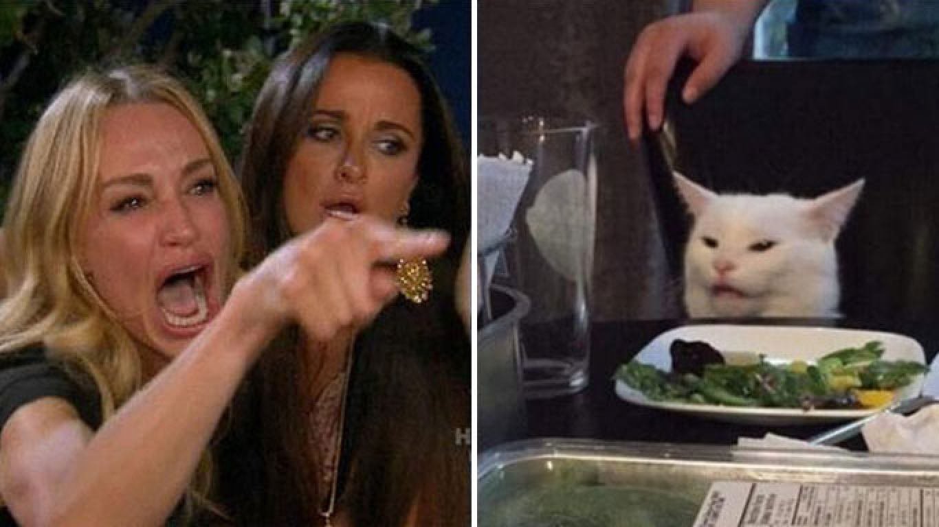 The ladies of RHOBH are a powerful pop culture force … and have spawned a number of memorable memes. Photo: knowyourmeme.com
