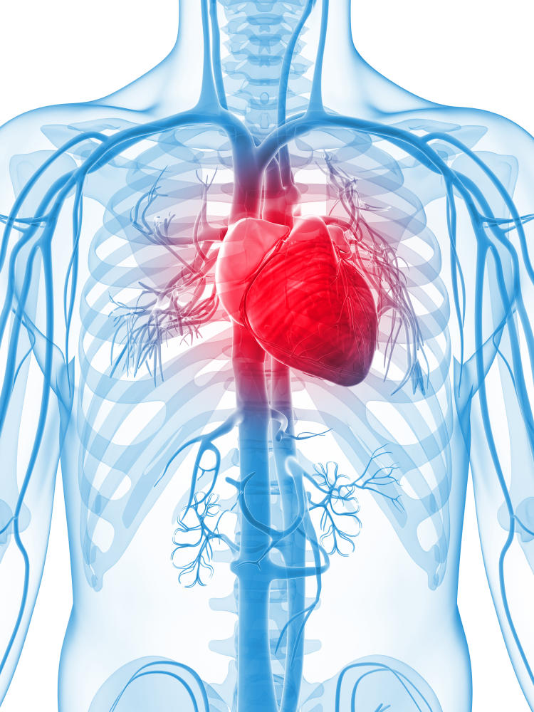 Broken Heart Syndrome – It's Real! – All About Heart And Blood Vessels