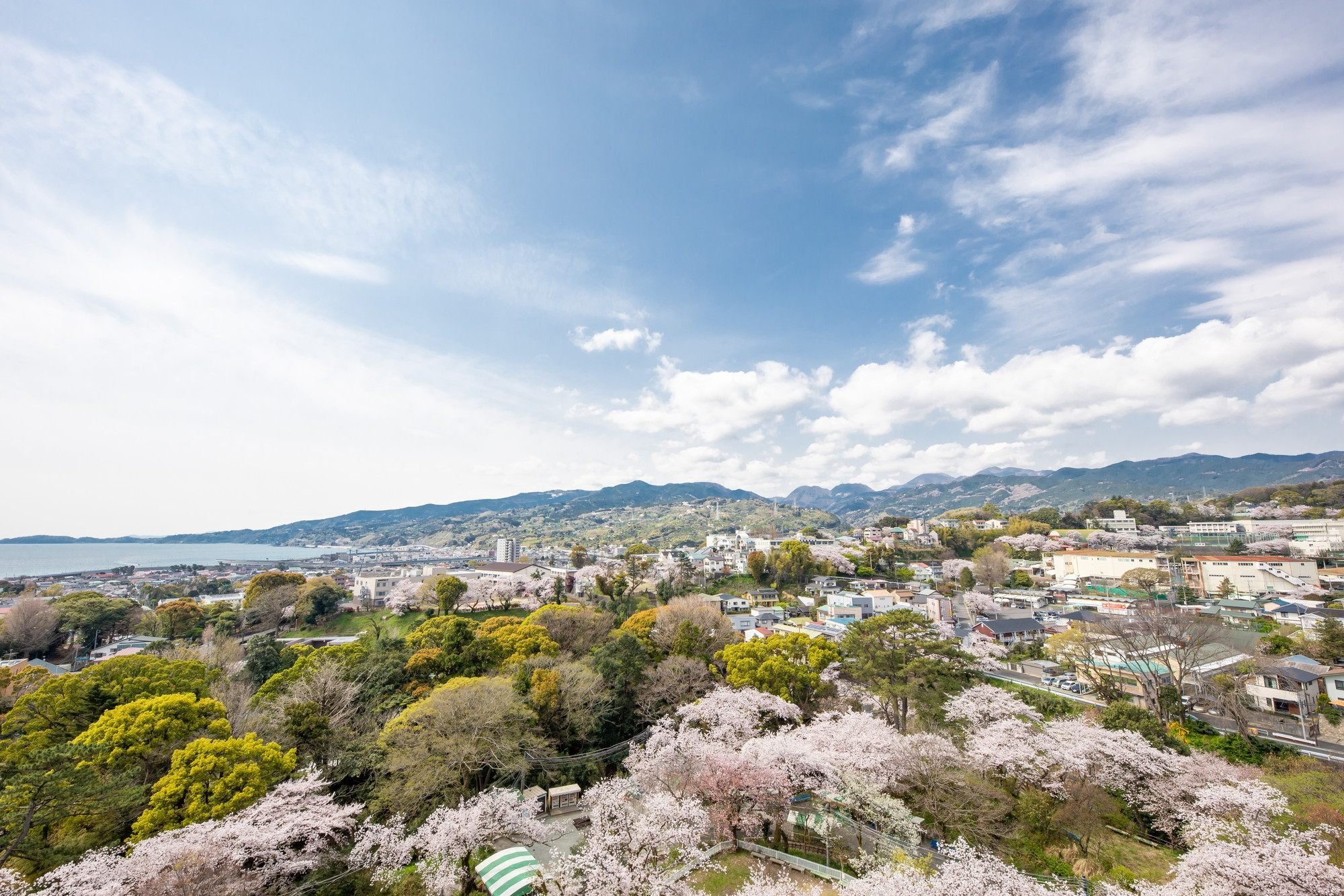 The park at Odawara Castle.