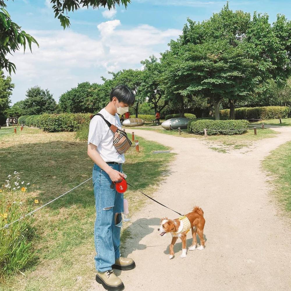 6 Korean celebrities who adopted abandoned dogs, from Blackpink's Rosé and  Netflix's Sweet Home star Lee Do-hyun, to former Wanna One member Yoon  Ji-sung