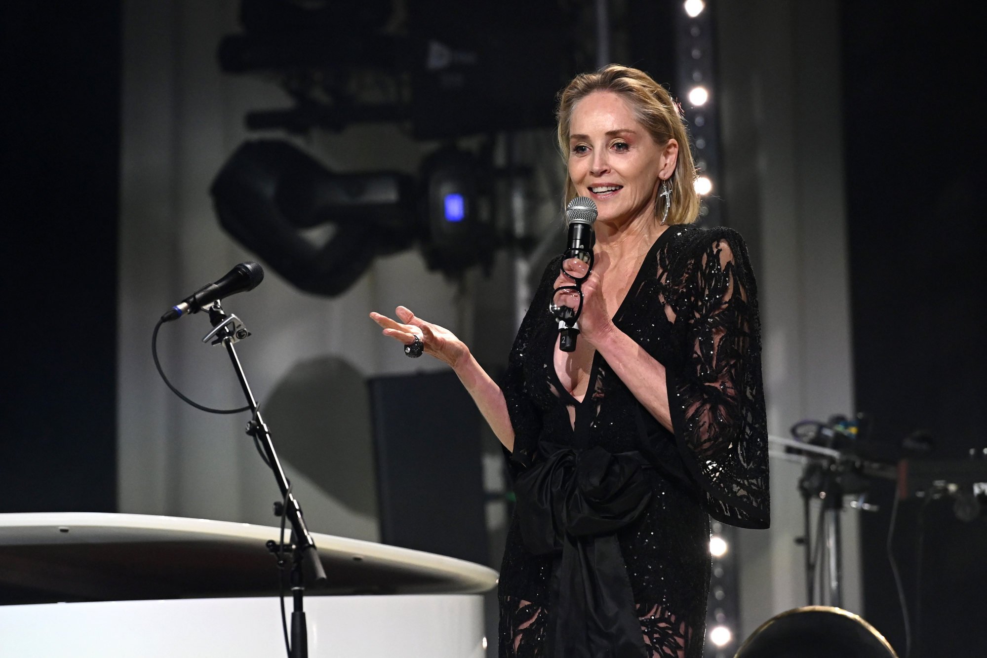 Sharon Stone speaks onstage at the 28th Annual Elton John Aids Foundation Academy Awards viewing party in February 2020, in West Hollywood, California. Photo: Getty Images