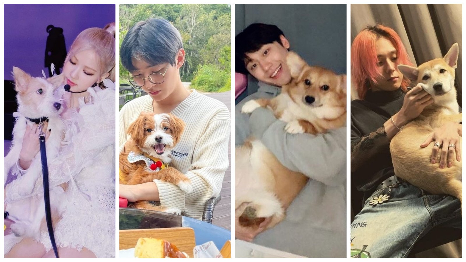 K-stars Blackpink’s Rosé, Yoon Ji-sung, Lee Do-hyun and Dawn all adopted dogs. Photos: @roses_are_rosie_, @_yoonj1sung__, @ldh_sky_, @hyojong_/Instagram,