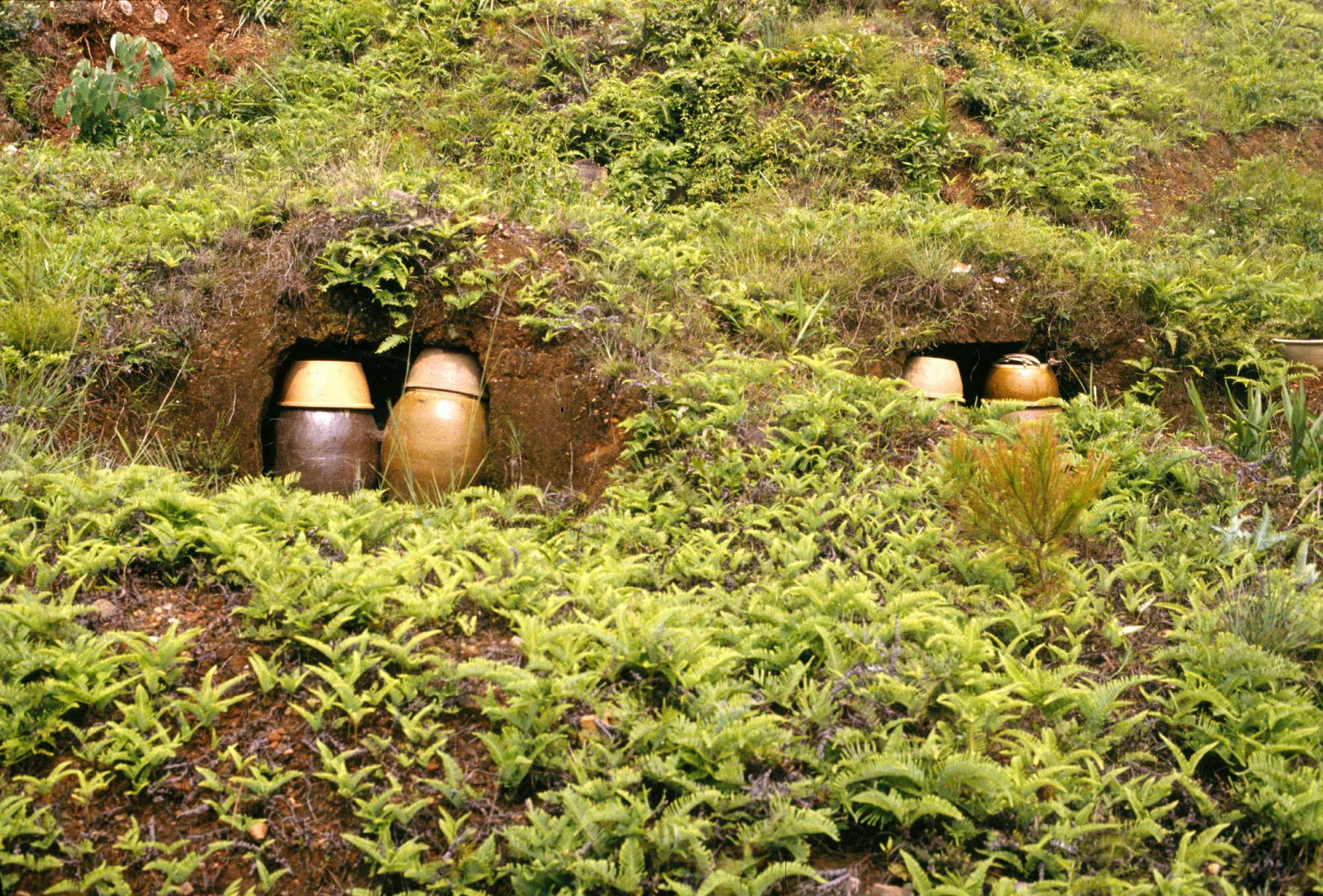 Funeral urns on a Chinese hillside. Photo: Getty