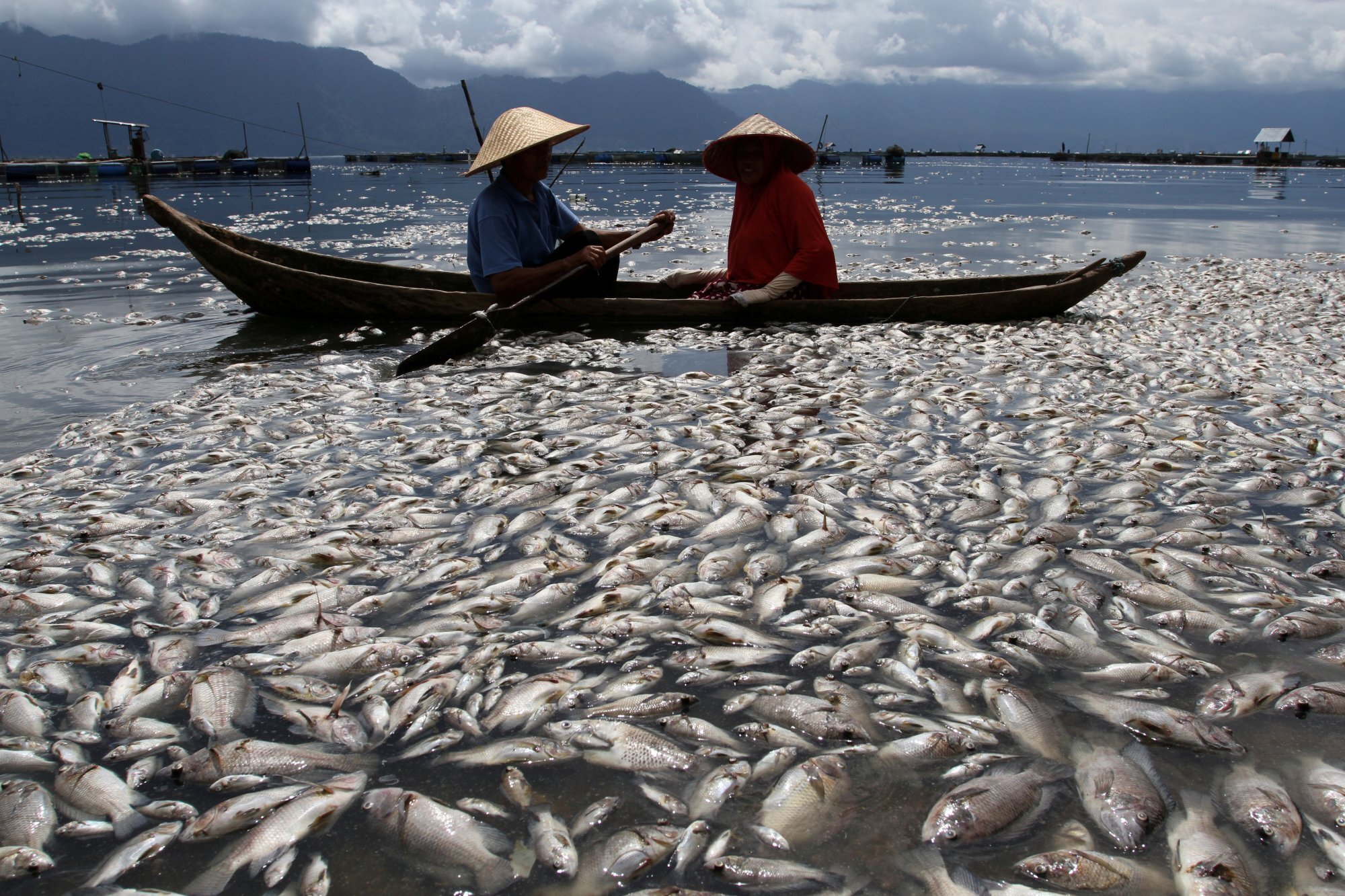Unavailability of Fish in the course of the Kyauk Phyu River along with  Scarcity of Fishing Zones for Near-Shore Fishing Boats - Development Media  Group