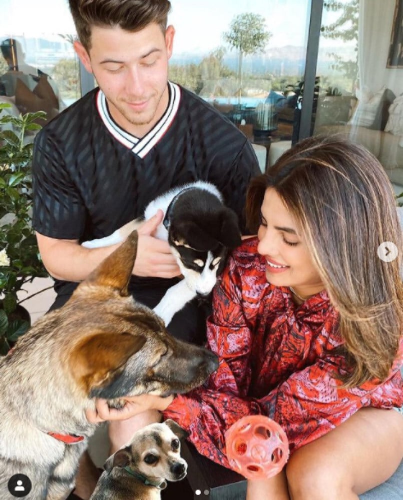 Nick Jonas and Priyanka Chopra Jonas with their dogs. Photo: @nickjonas/Instagram