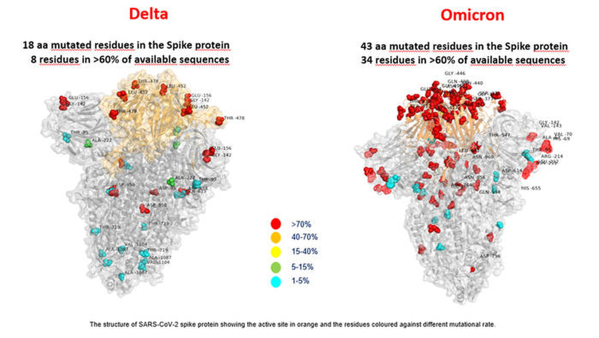 Omicron Coronavirus Variant Has More Than Double The Mutations Of Delta Italian Lab Image Shows