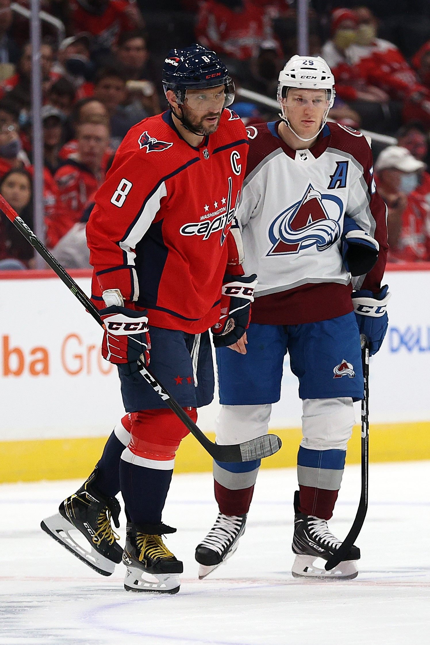 Will we see Alex Ovechkin of the Washington Capitals and Nathan MacKinnon of the Colorado Avalanche in China this February? Photo: AFP