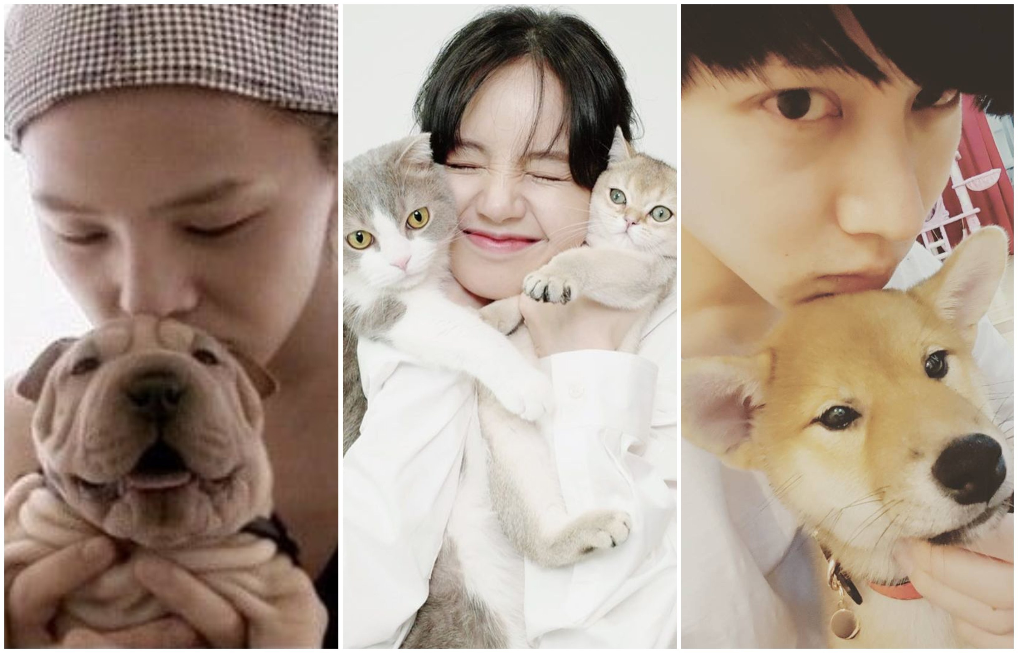 K-pop idols G-Dragon, Blackpink’s Lisa and Super Junior’s Heechul all faced controversy over their pets. Photos: GDTV; @lalalalisa_m, @kimheenim/Instagram