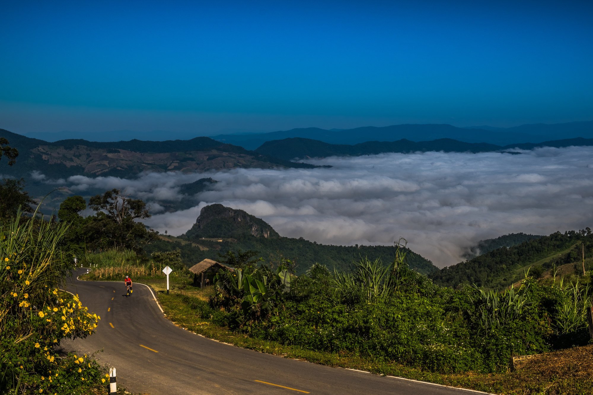 The hills and valleys of northern Thailand make it a prime destination for cyclists of all abilities. Photo: Steve Thomas