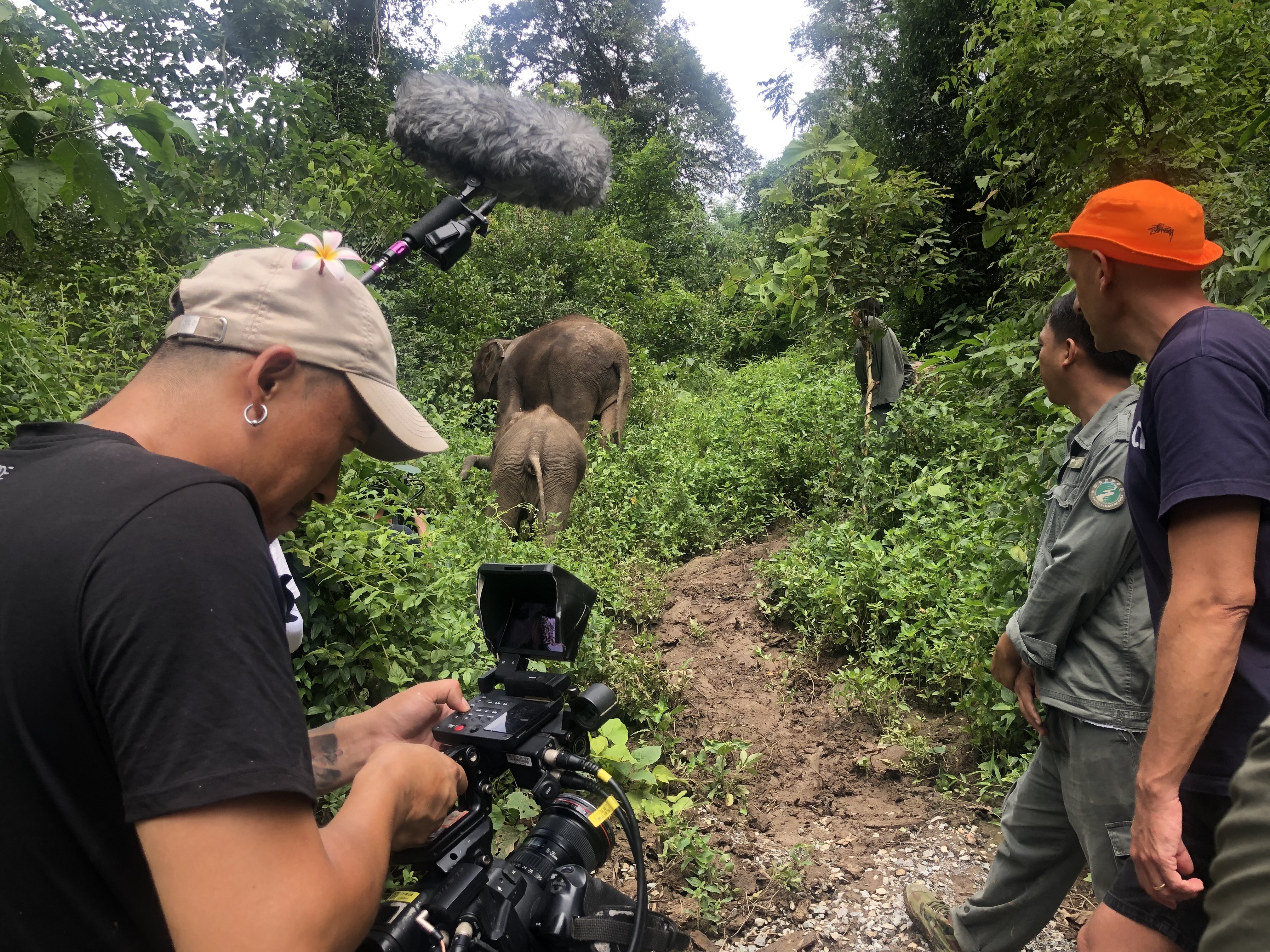 Dominic Johnson-Hill (right) with guide and a crew member filming in an elephant sanctuary in Yunnan for adventure documentary Seasons of China, during which he was kicked by an elephant calf. Photo: Dominic Johnson-Hill