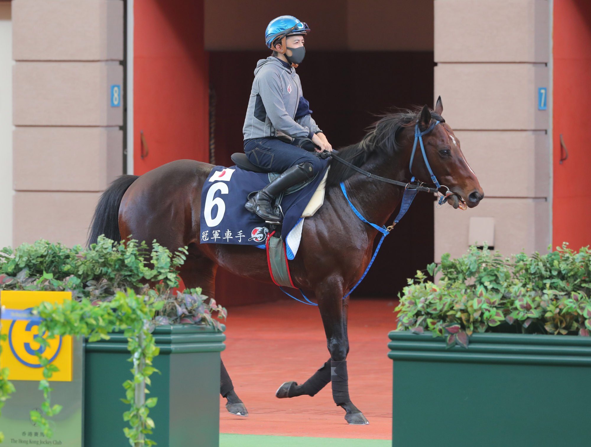 Yuichi Fukunaga aboard Indy Champ in the lead-up to last week’s Hong Kong International Races.