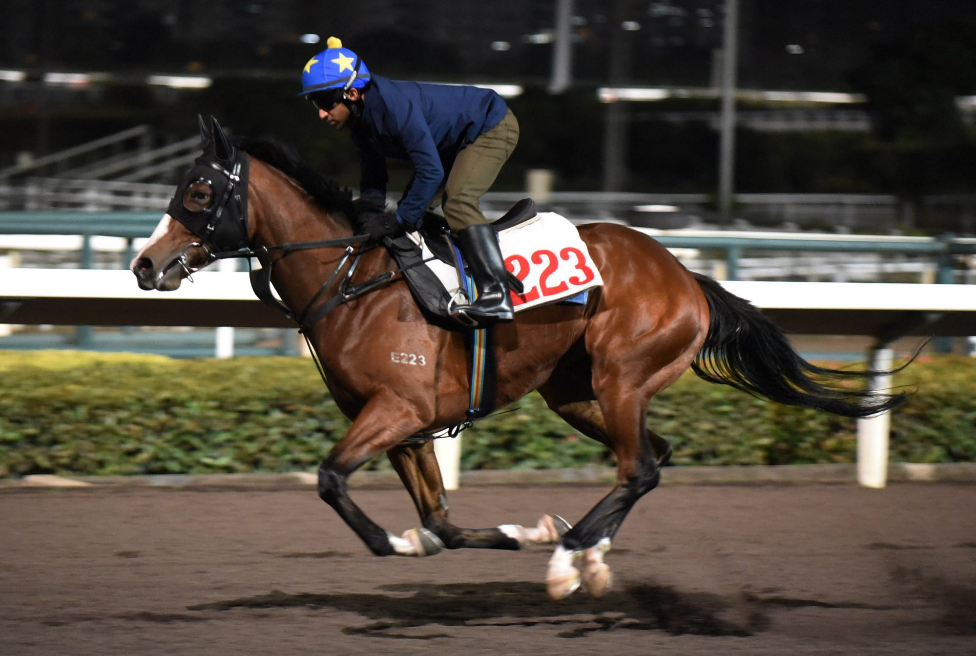 Stoicism gallops on the all-weather track at Sha Tin on Monday morning.