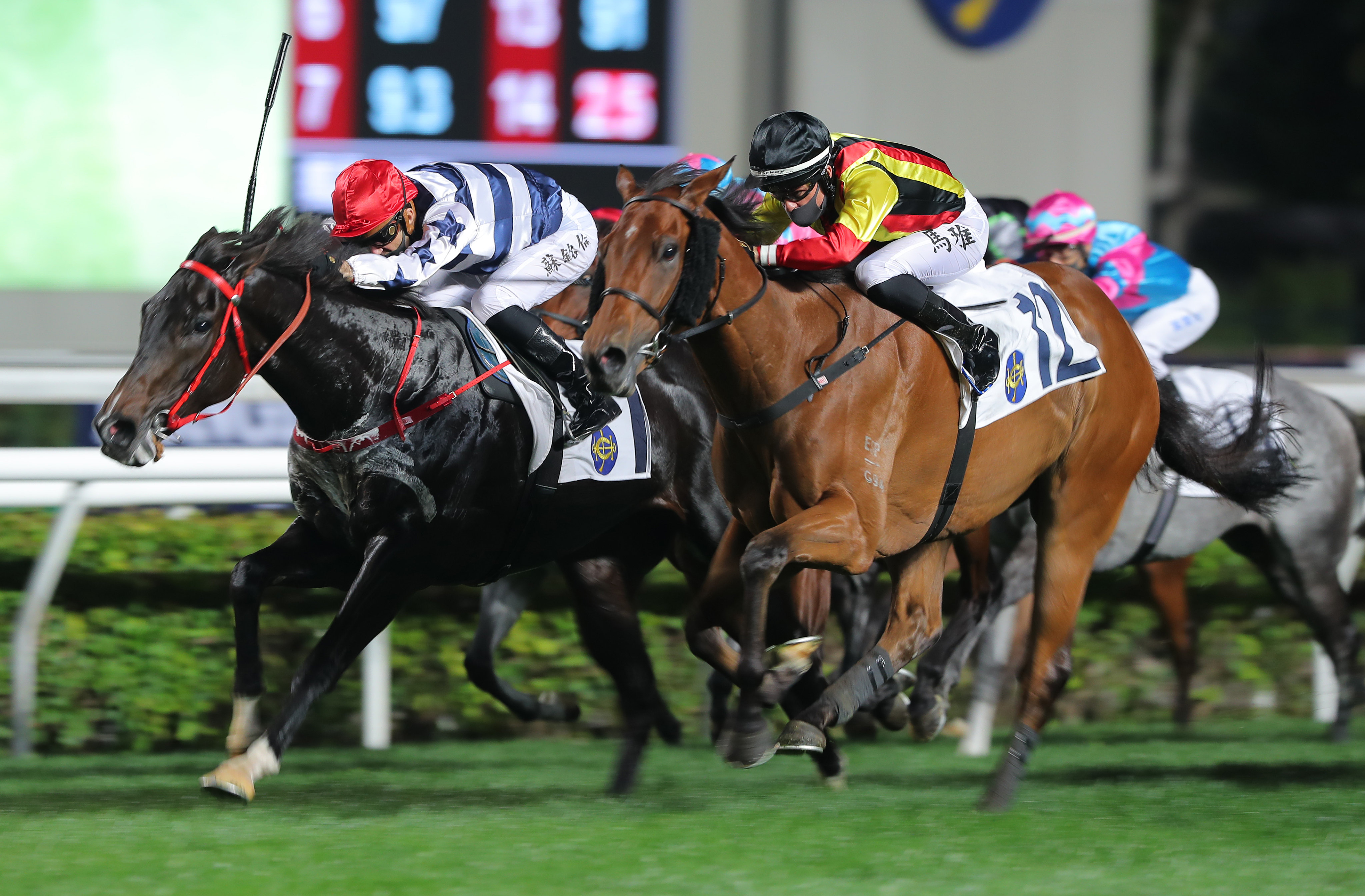 Packing Victory (left) is run down by Navas Two at Sha Tin last start. Photo: Kenneth Chan.
