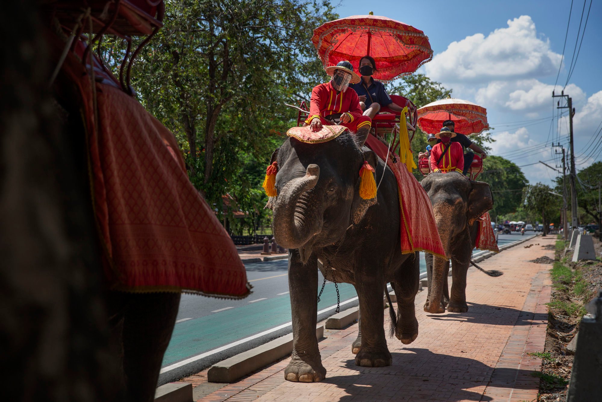 Tourists ride elephants at the Ayutthaya Elephant Palace and Royal Kraal in Thailand. Photo: Getty Images