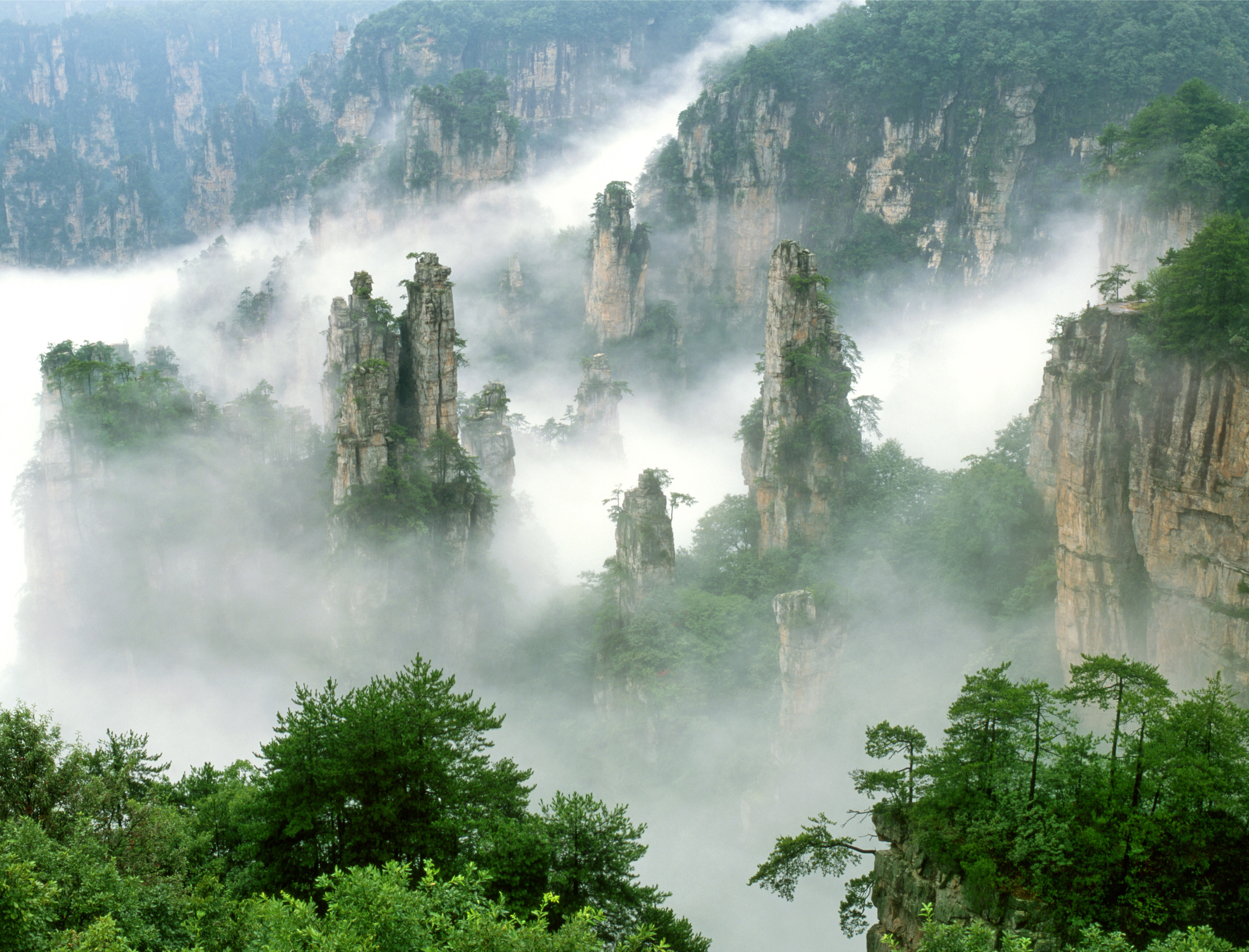 Zhangjiajie National Park. Photo: Getty Images