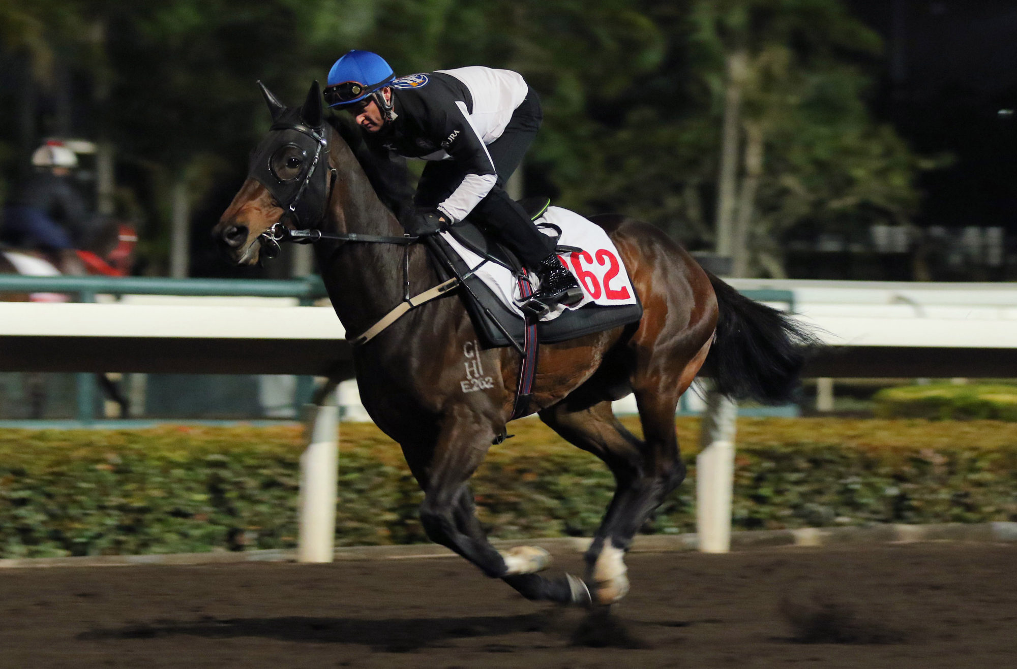 Zac Purton gallops Red Impact at Sha Tin on Monday morning.