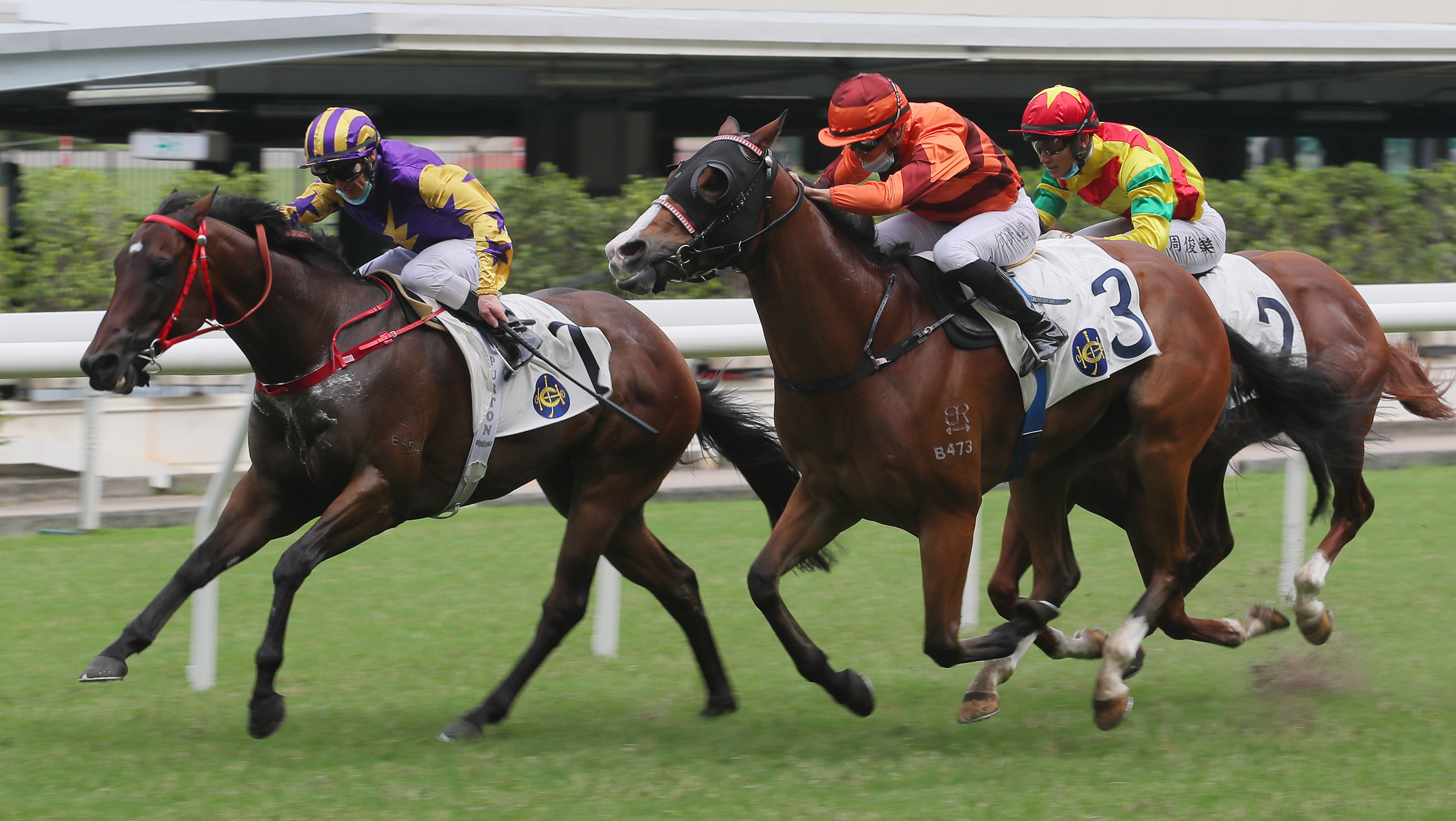 Zac Purton guides Lightning Storm to victory at Happy Valley in October. Photos: Kenneth Chan