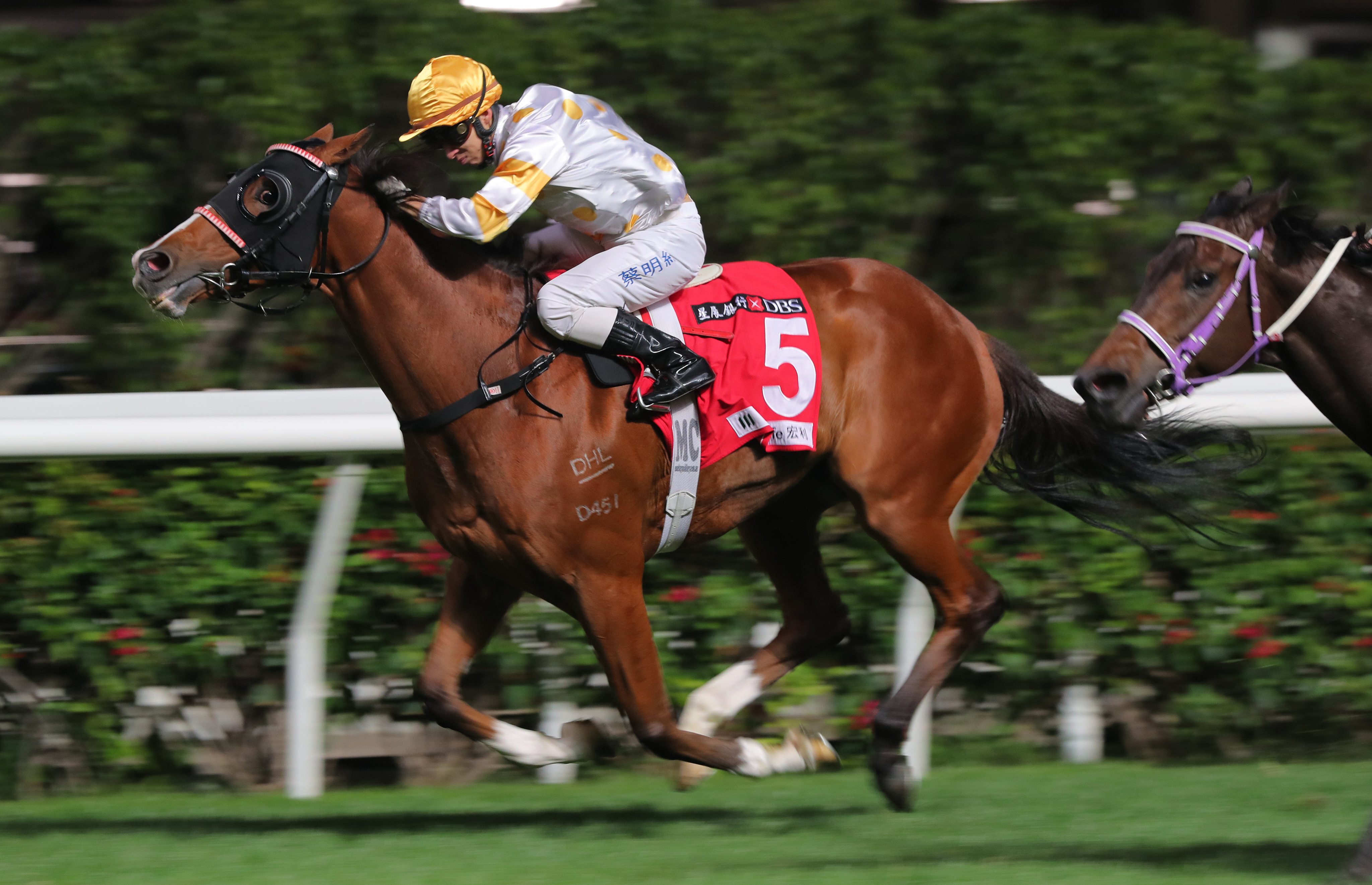 Joyful Win burns to victory at Happy Valley last month. Photo: Kenneth Chan
