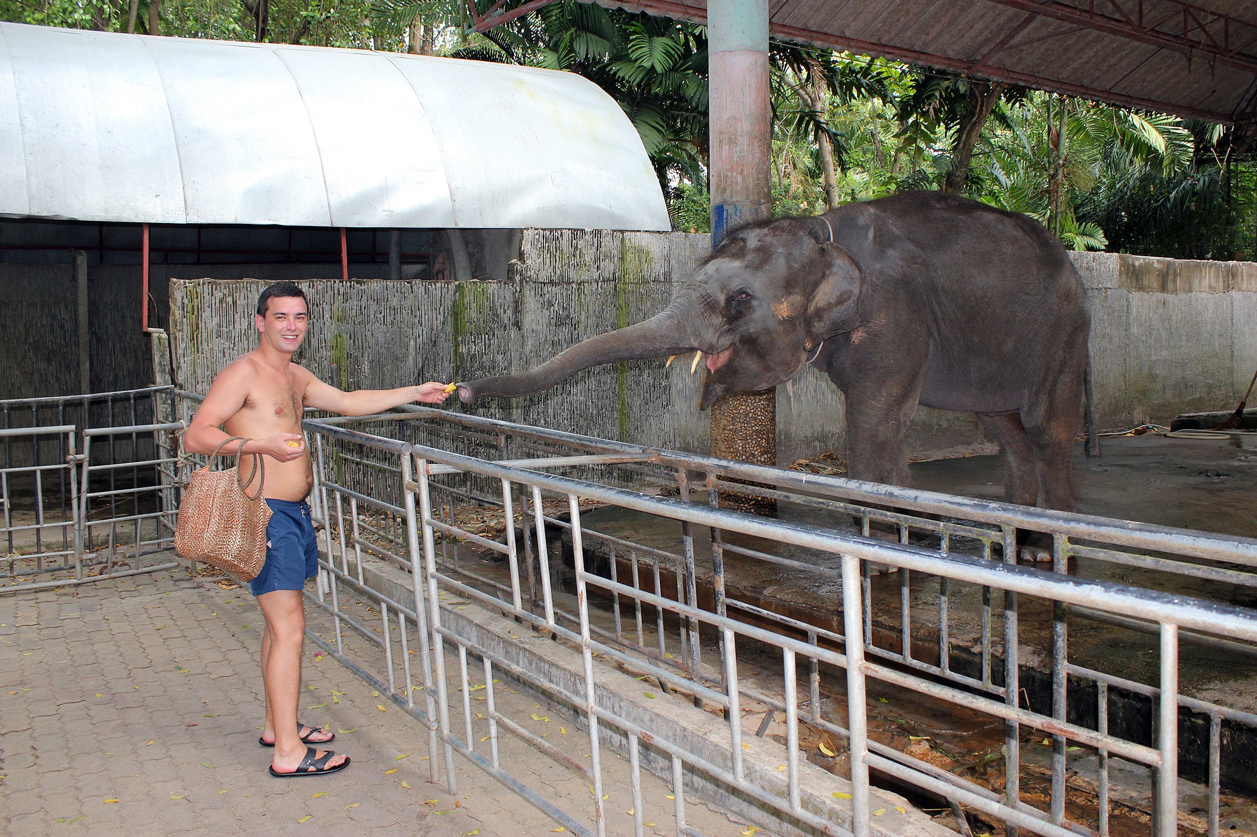 Hell on earth': Zoo in Thailand long accused of animal abuse finally  closes, but what will happen to the animals? | South China Morning Post