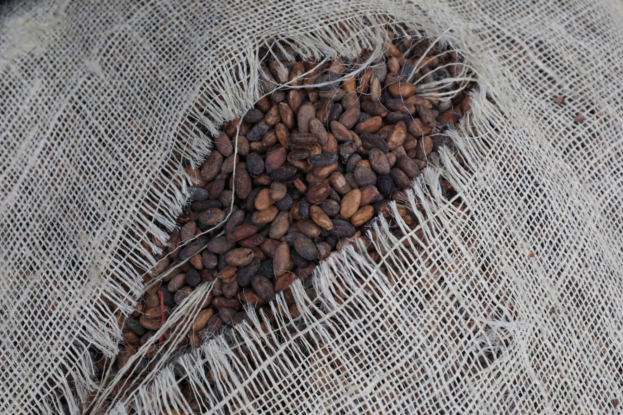 Hong Kong police arrest two suspects, search city for third in