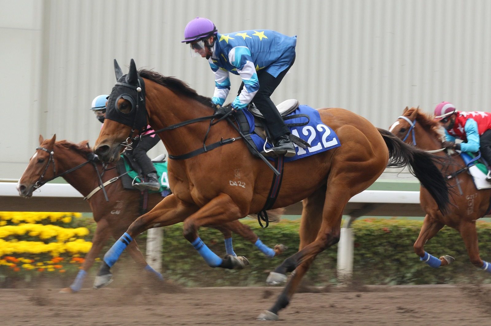 Zac Purton partners Lucky Patch in trial at Sha Tin on Friday morning. Photos: Kenneth Chan