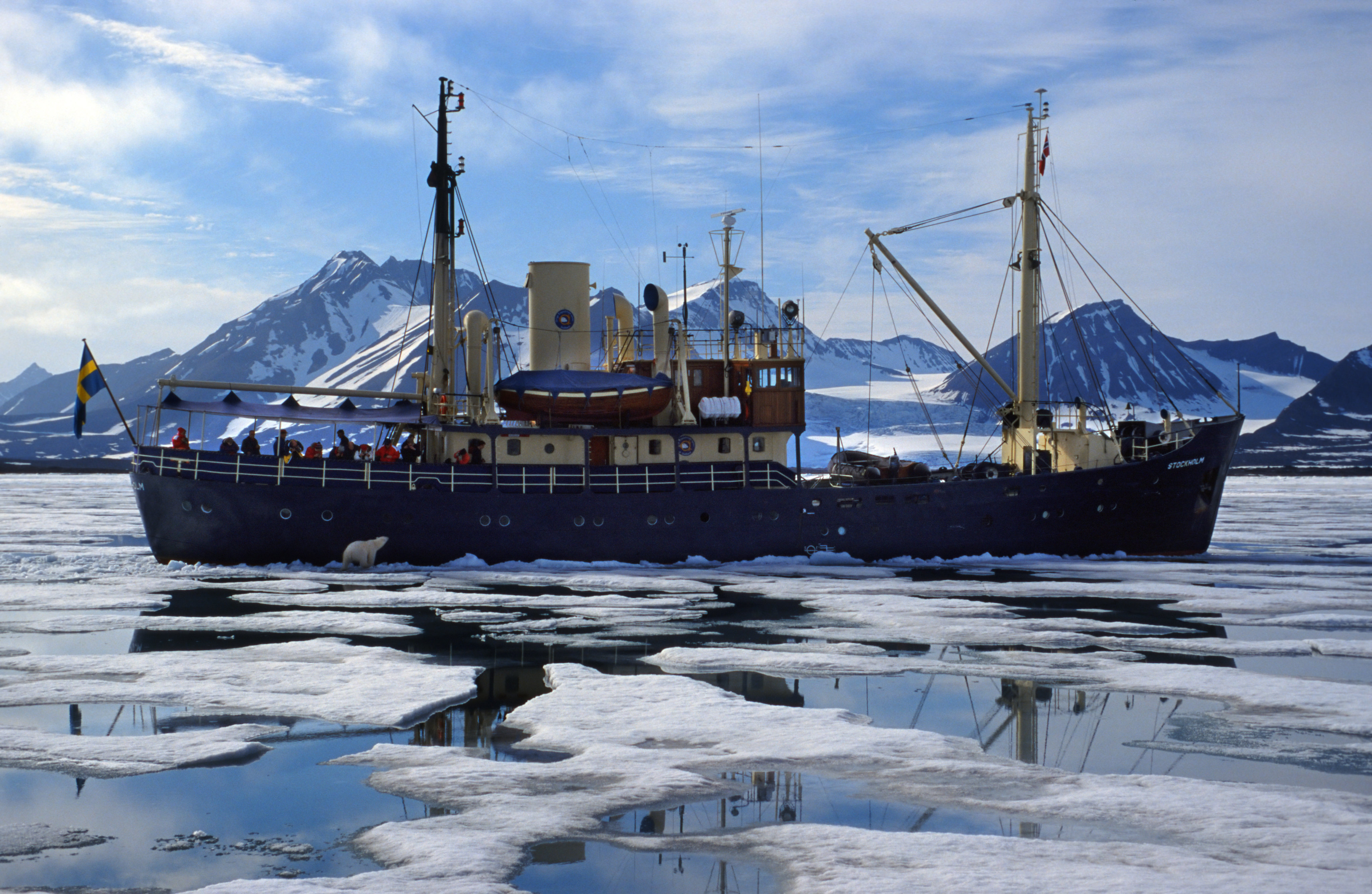 Eco tourists photographing curious Polar bear (Ursus maritimus / Thalarctos maritimus) from ship, Svalbard / Spitsbergen, Norway. (Photo by: Arterra/Universal Images Group via Getty Images)