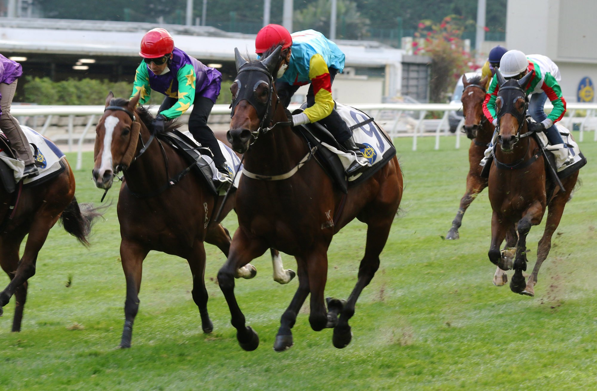 Blake Shinn trials Fantastic Treasure at Happy Valley last month.