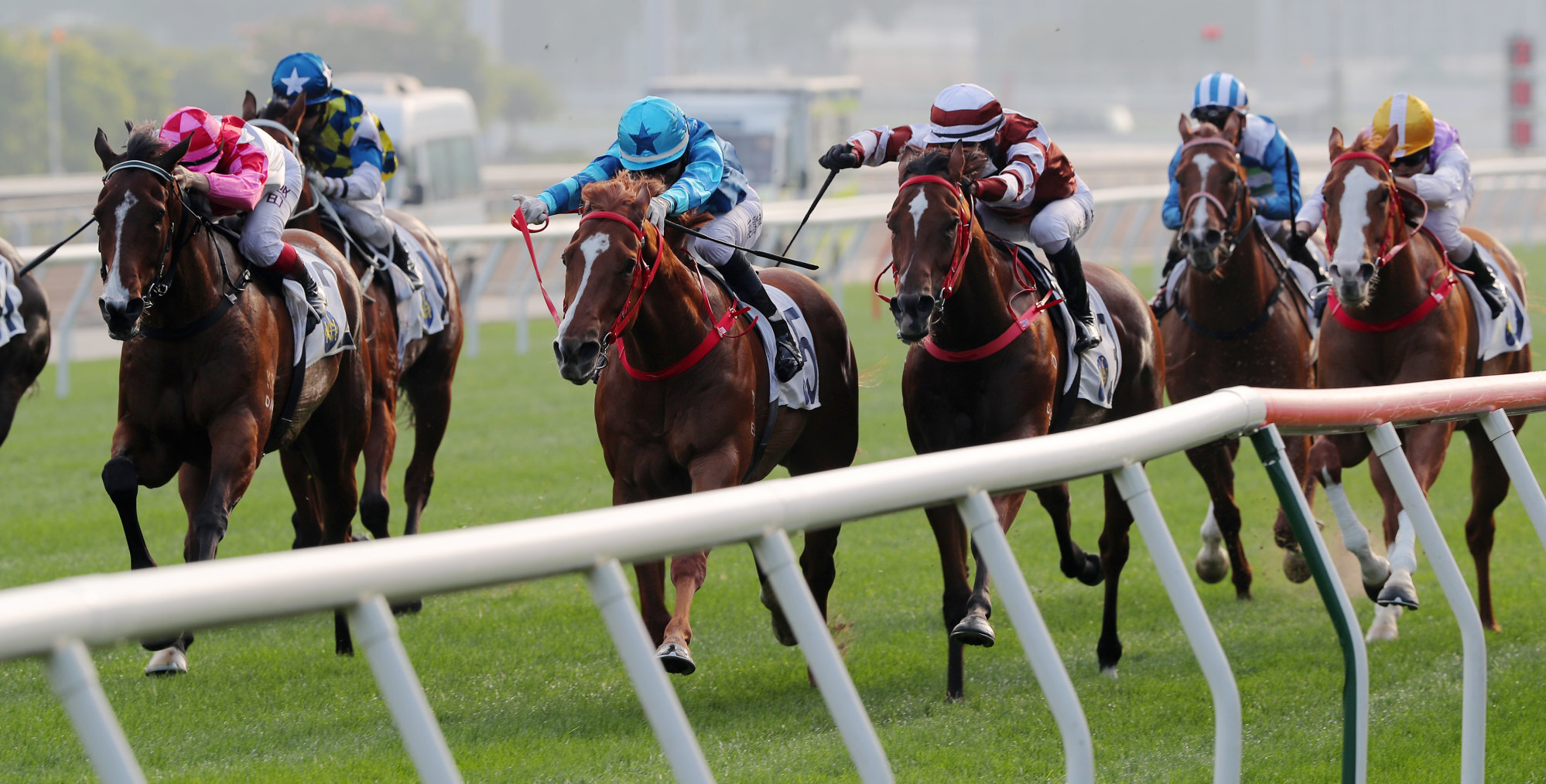 Super Wealthy (left) rattles home to finish third to Master Eight (blue silks) in the Group Three Bauhinia Sprint Trophy.