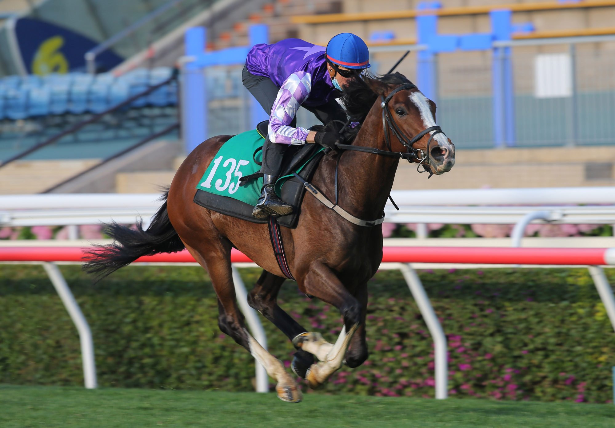 Blake Shinn wins a trial on Helene North Star at Sha Tin earlier this month.