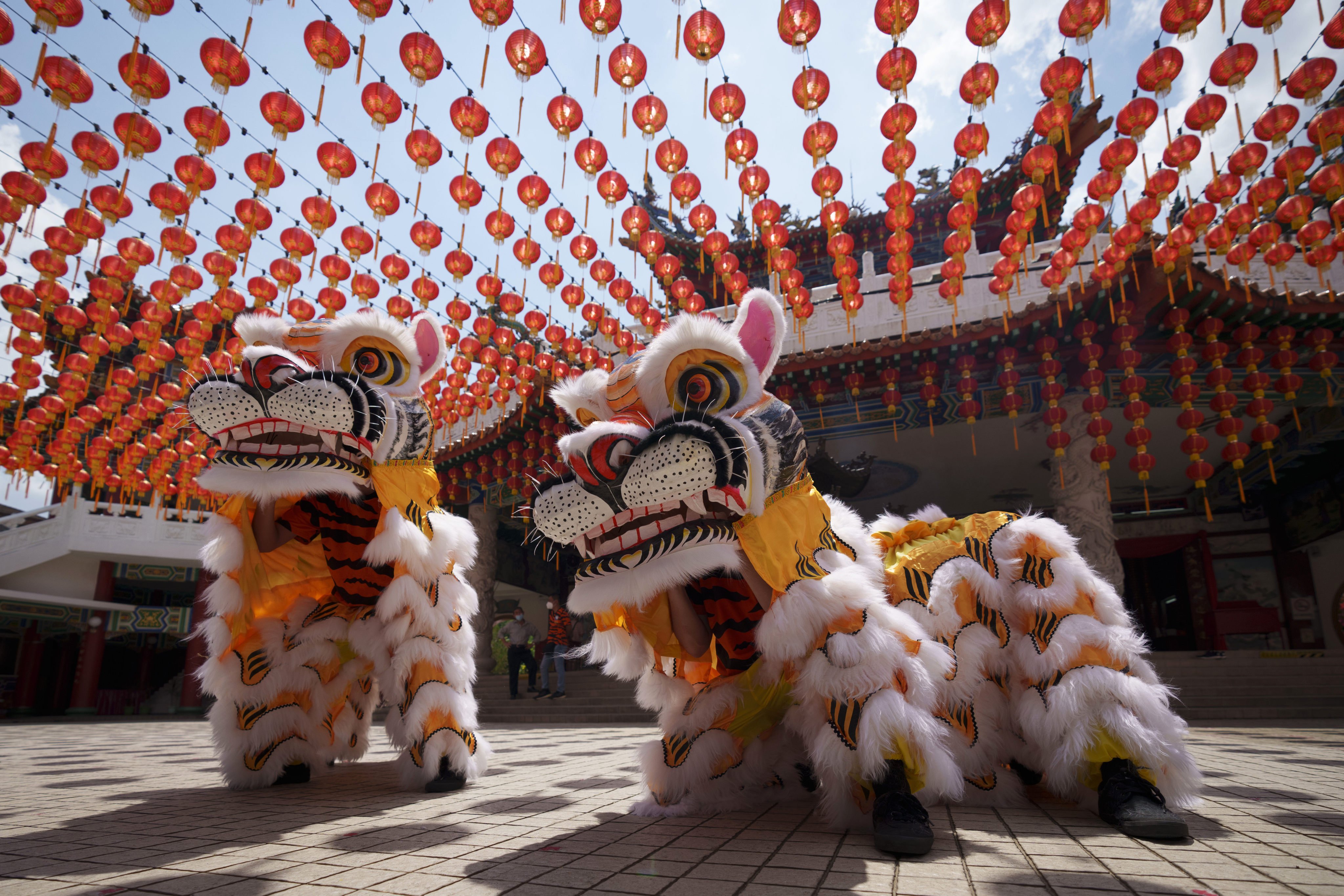 Hainan tiger dance is performed ahead of the Lunar New Year in Kuala Lumpur, Malaysia. Photo: AP