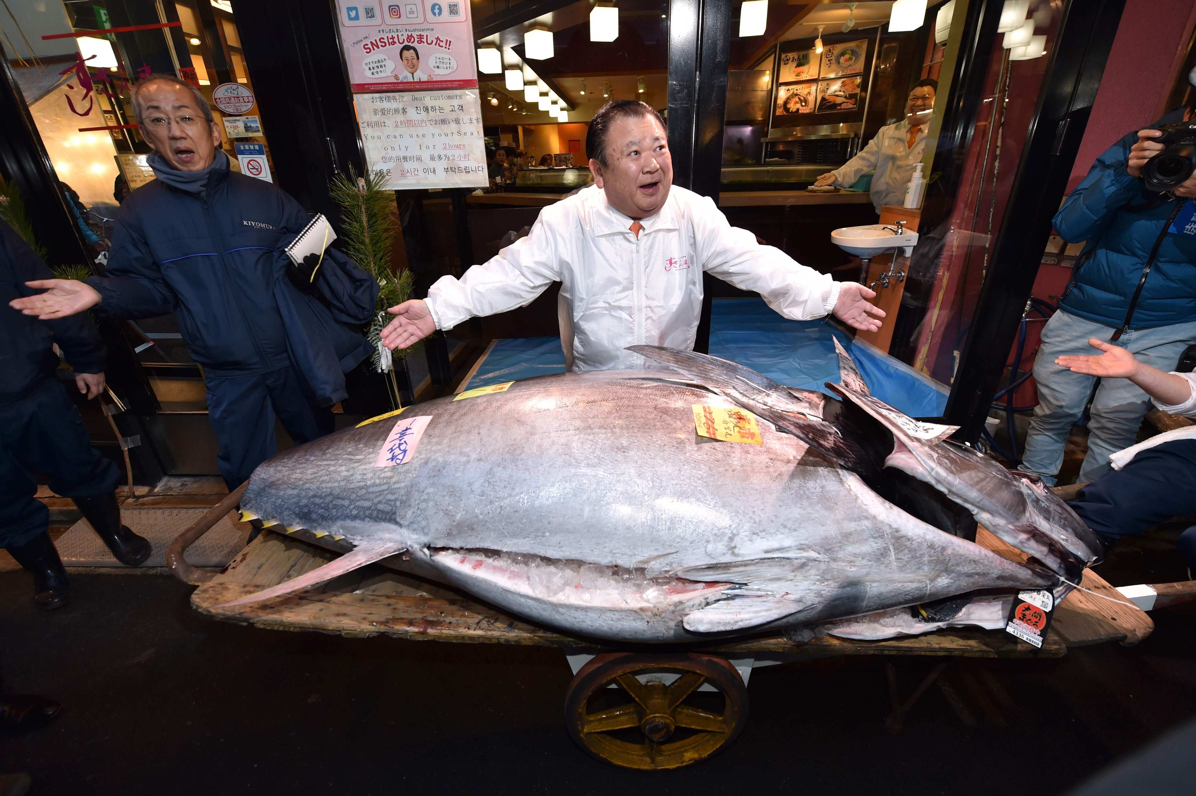 Sushi restaurant chain Sushizanmai displays a bluefin tuna that fetched around US$1.8 million in Tokyo in 2020. Japan’s edible exports have been soaring to new heights.  Photo: AFP