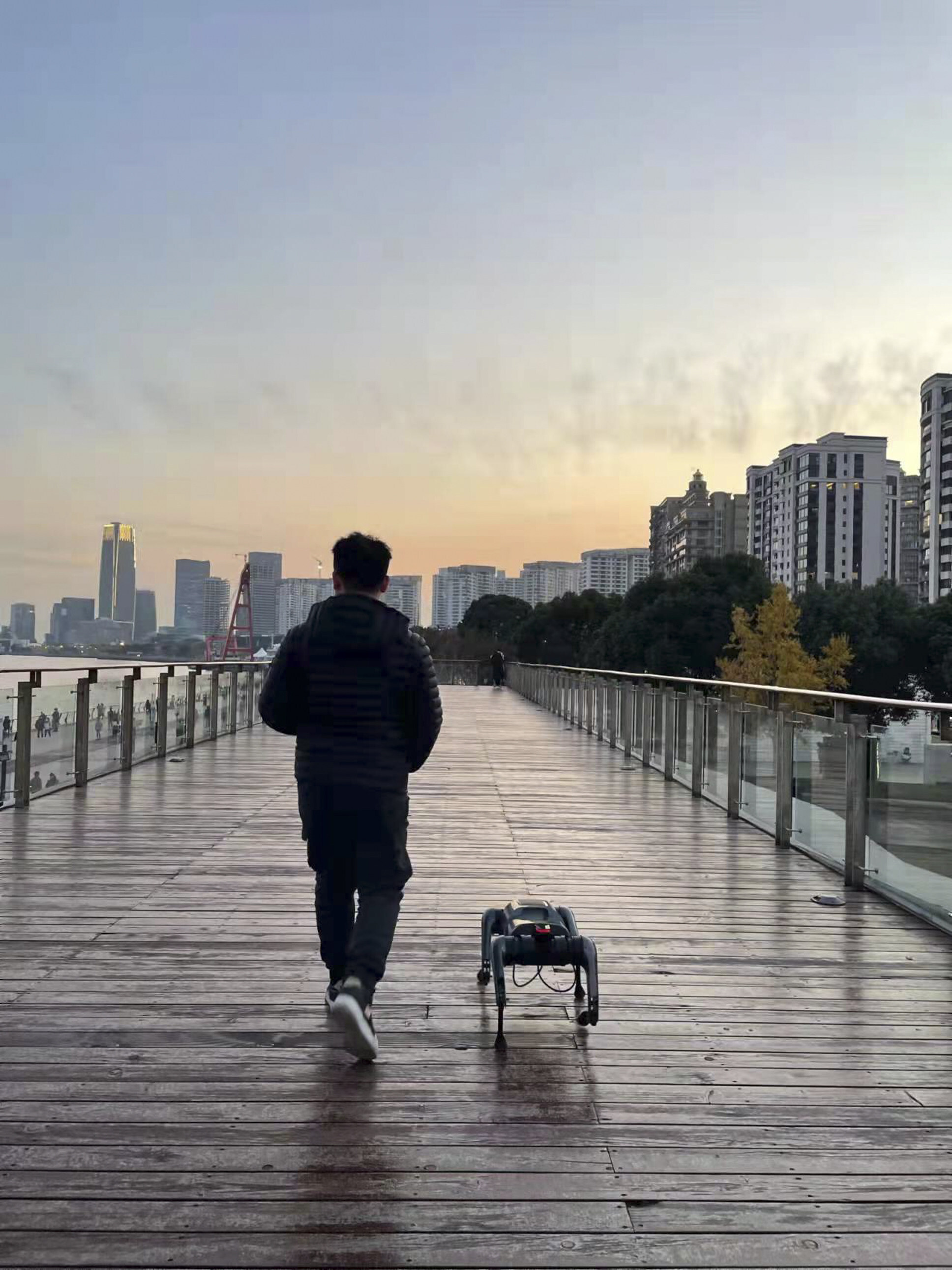 Walking the dog with a twist in Shanghai. Photo: Thepaper.cn