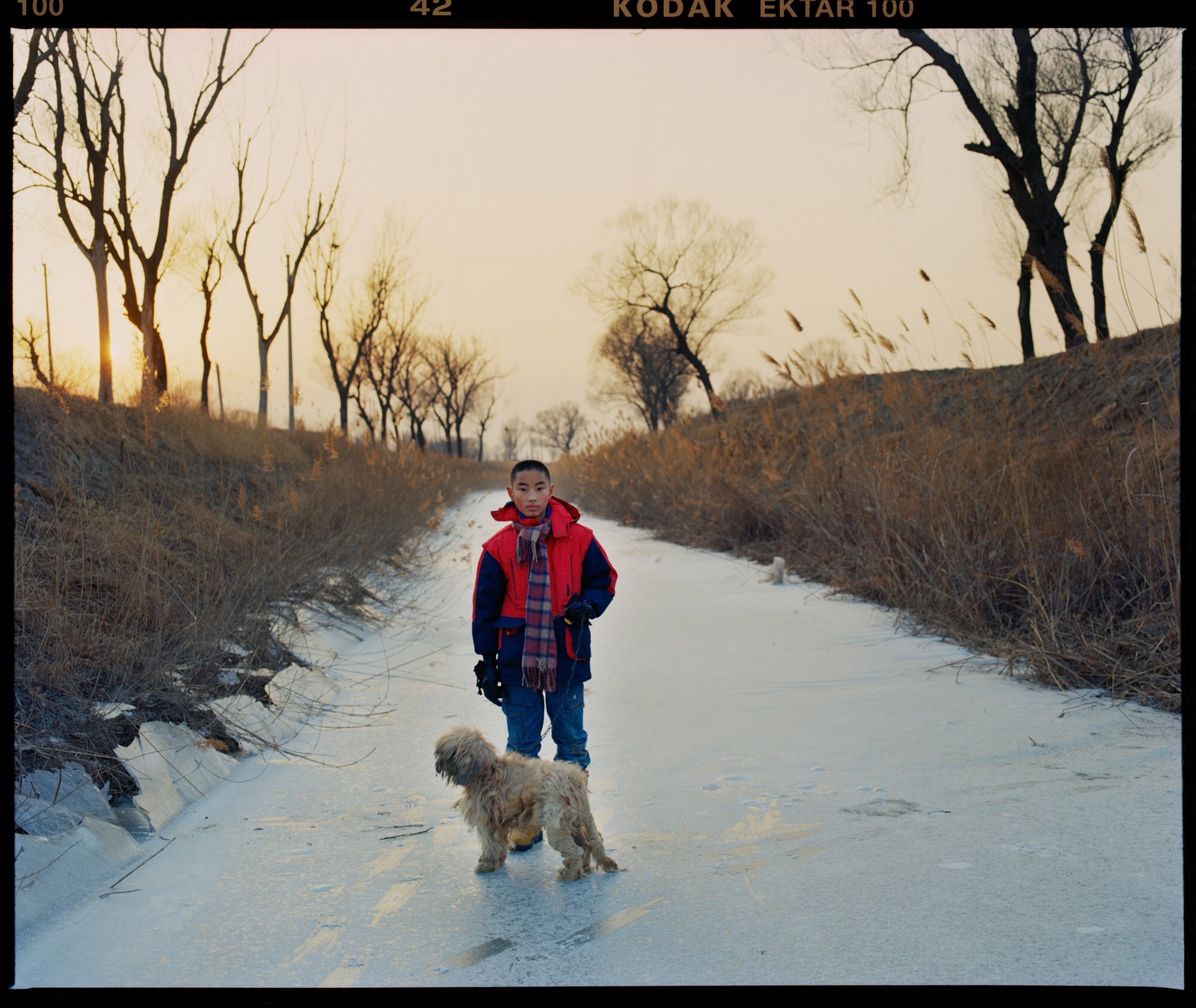 ‘A History That Should Not Be Forgotten’: Images Of A Lost Past In A ...