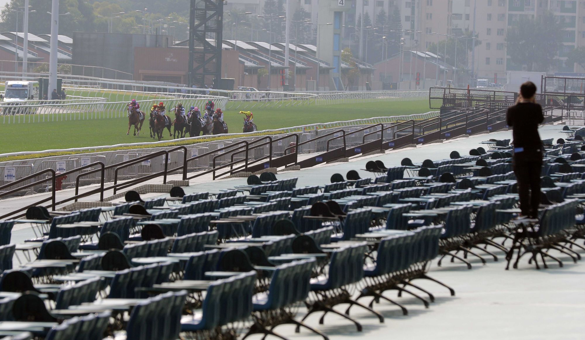 Horses gallop at an empty Sha Tin. Photo: Kenneth Chan