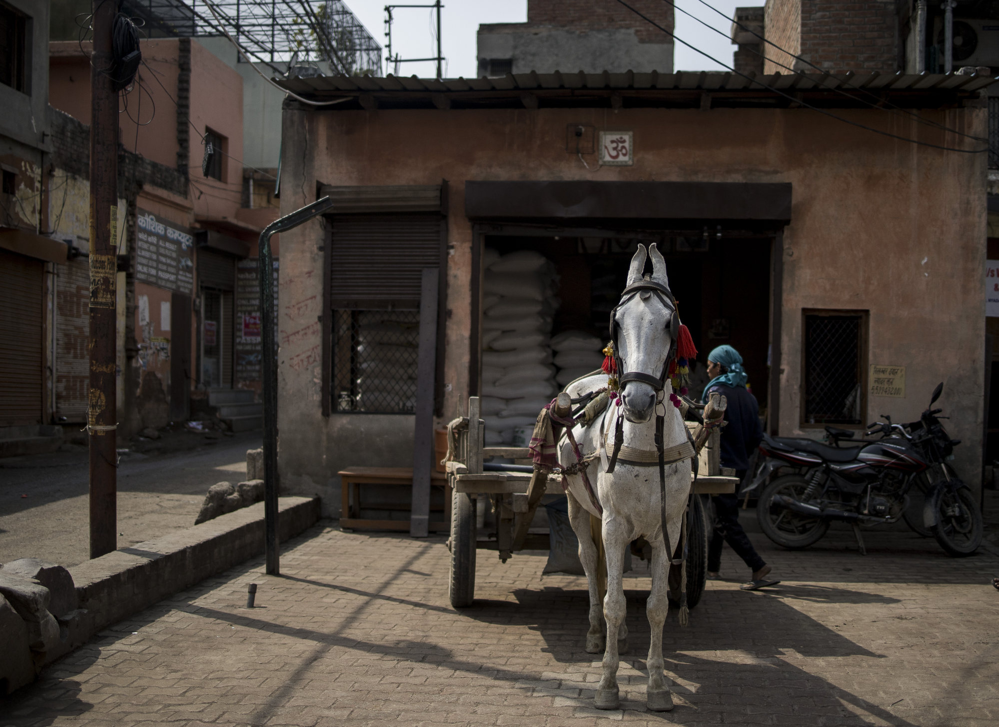 A horse-drawn carriage outside a wheat grain storage facility near a grain wholesale market in Dadri, Uttar Pradesh, India, on Saturday, February 26, 2022. Photo: Bloomberg