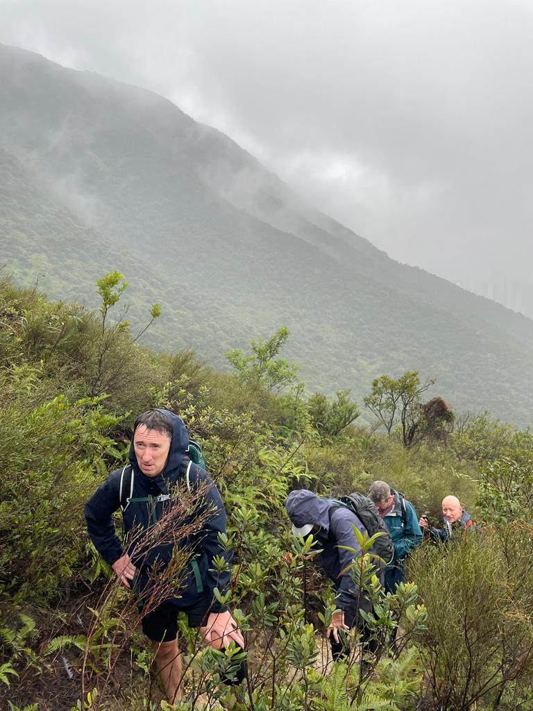 A group hiked the 50 highest peaks in Hong Kong for charity. Photos: Handout