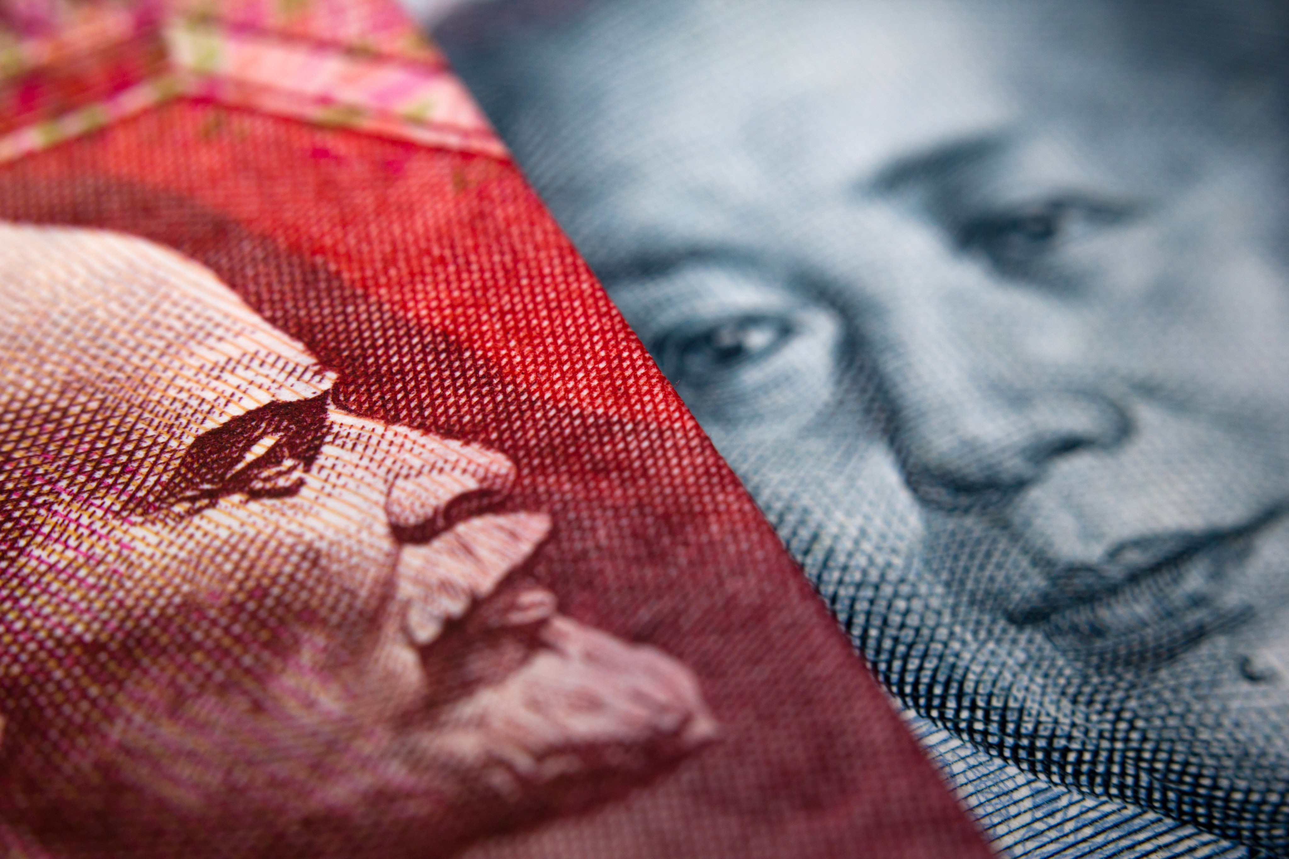 Bilateral trade between Russia and China rose by 38.5 per cent during January and February, year on year, marking the highest growth rate for that period since 2010. Photo: Shutterstock