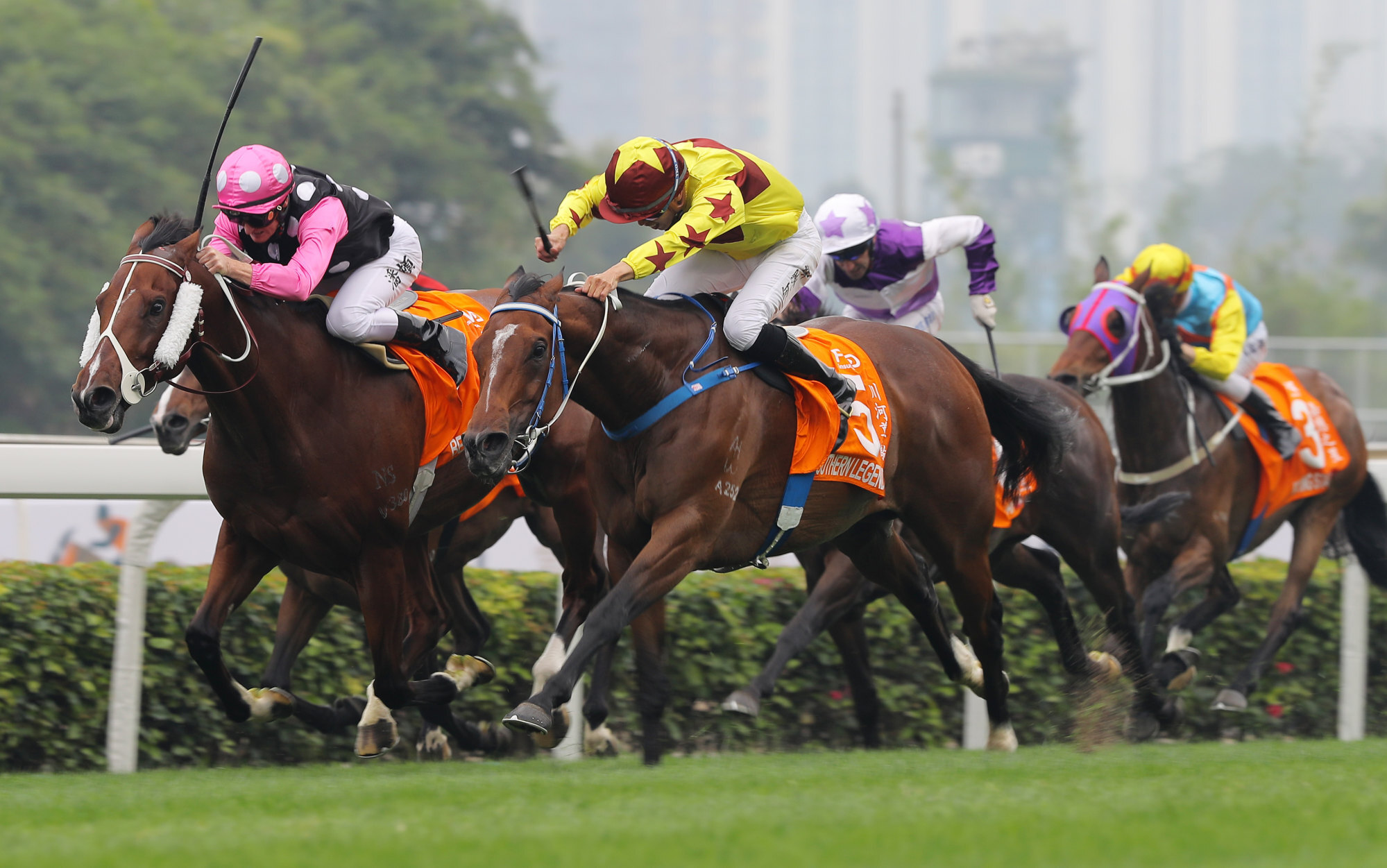 Southern Legend (right) defeats Beauty Generation during an all-local Champions Day in 2020. Photo: Kenneth Chan