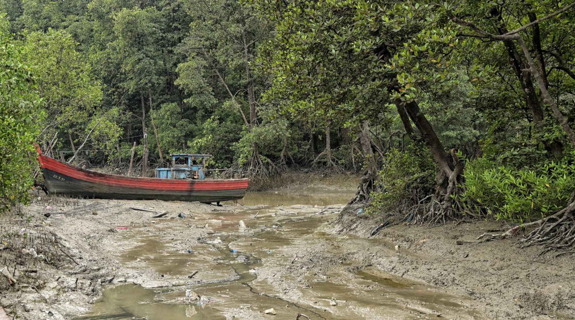 A boat waits for high tide in a mangrove at Kuala Sepetang, when it will move tree trunks to a charcoal factory. Photo: Philippe Durant