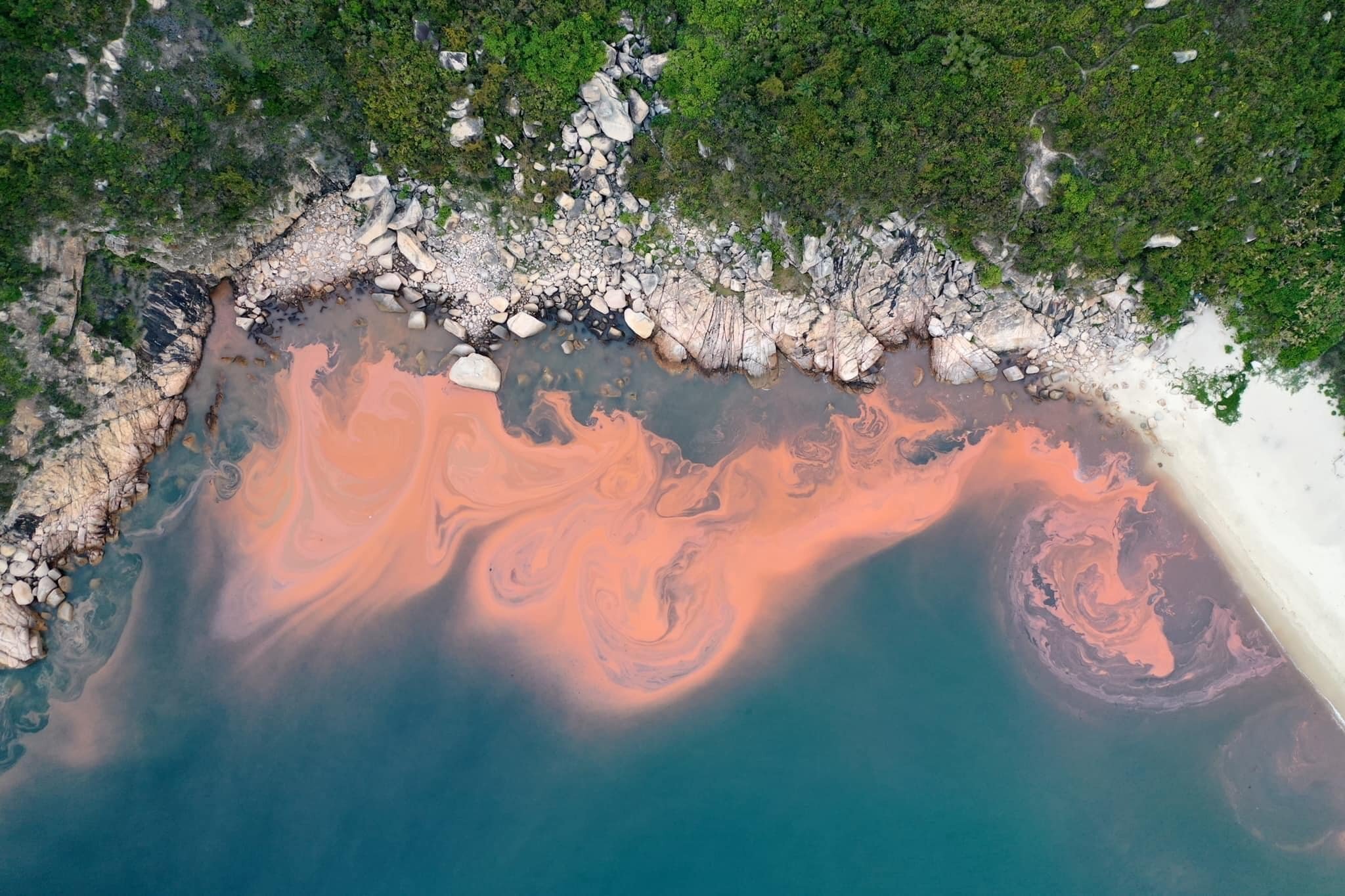 A red tide on March 13, 2022 on the southern side of Lamma Island, Hong Kong. The phenomenon is common in springtime.  Photo: Chau Hung