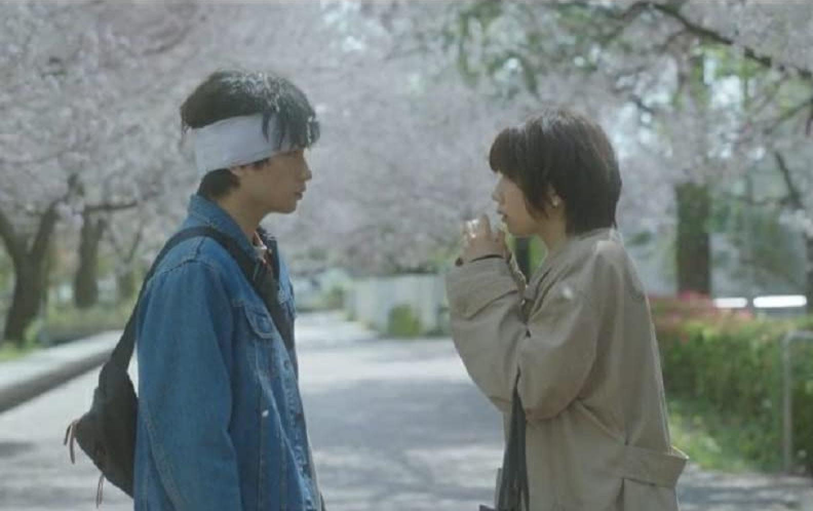Netflix movie review: Love Like the Falling Petals – frustrating