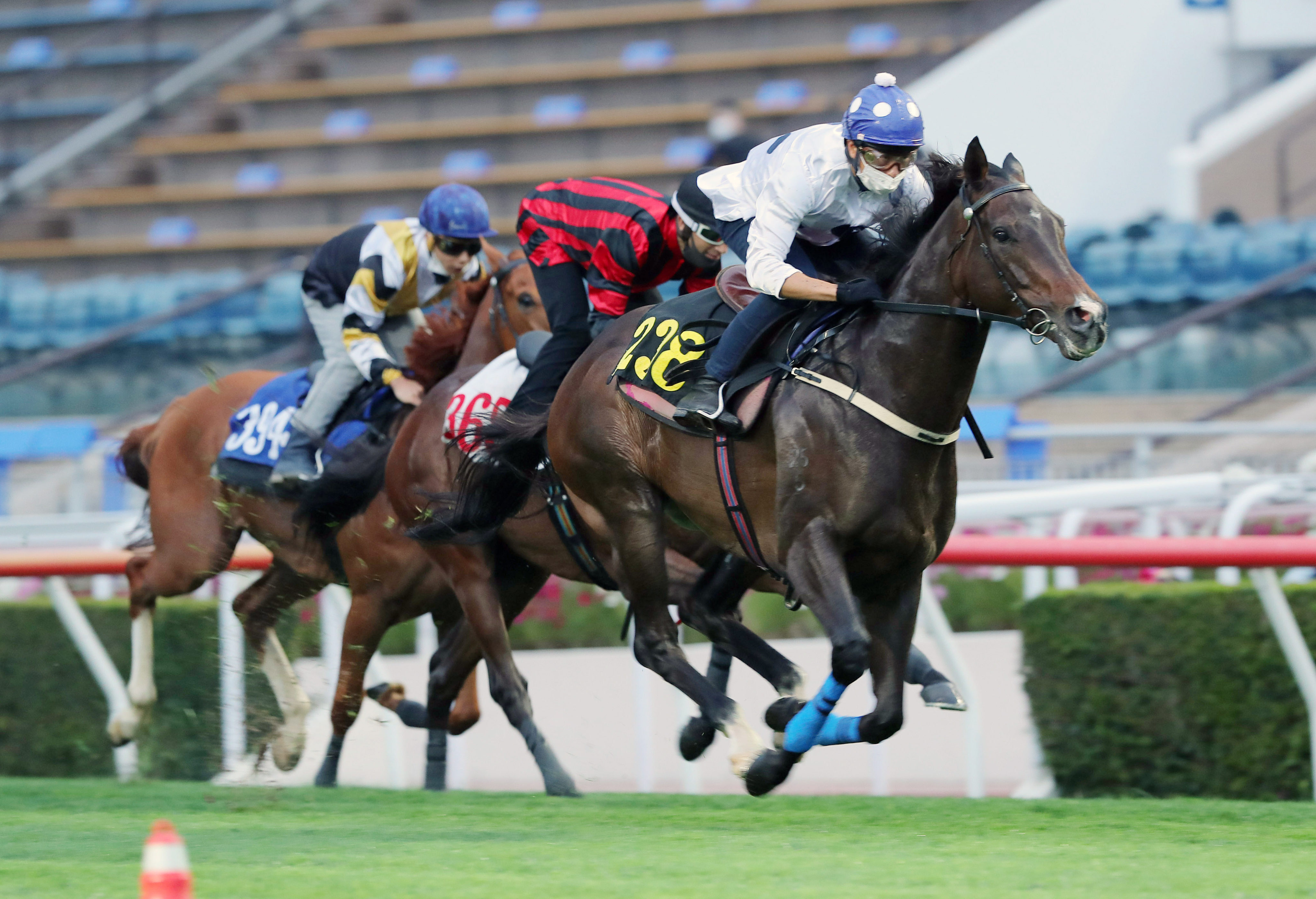 Golden Sixty wins a trial at Sha Tin on Tuesday morning. Photo: Kenneth Chan