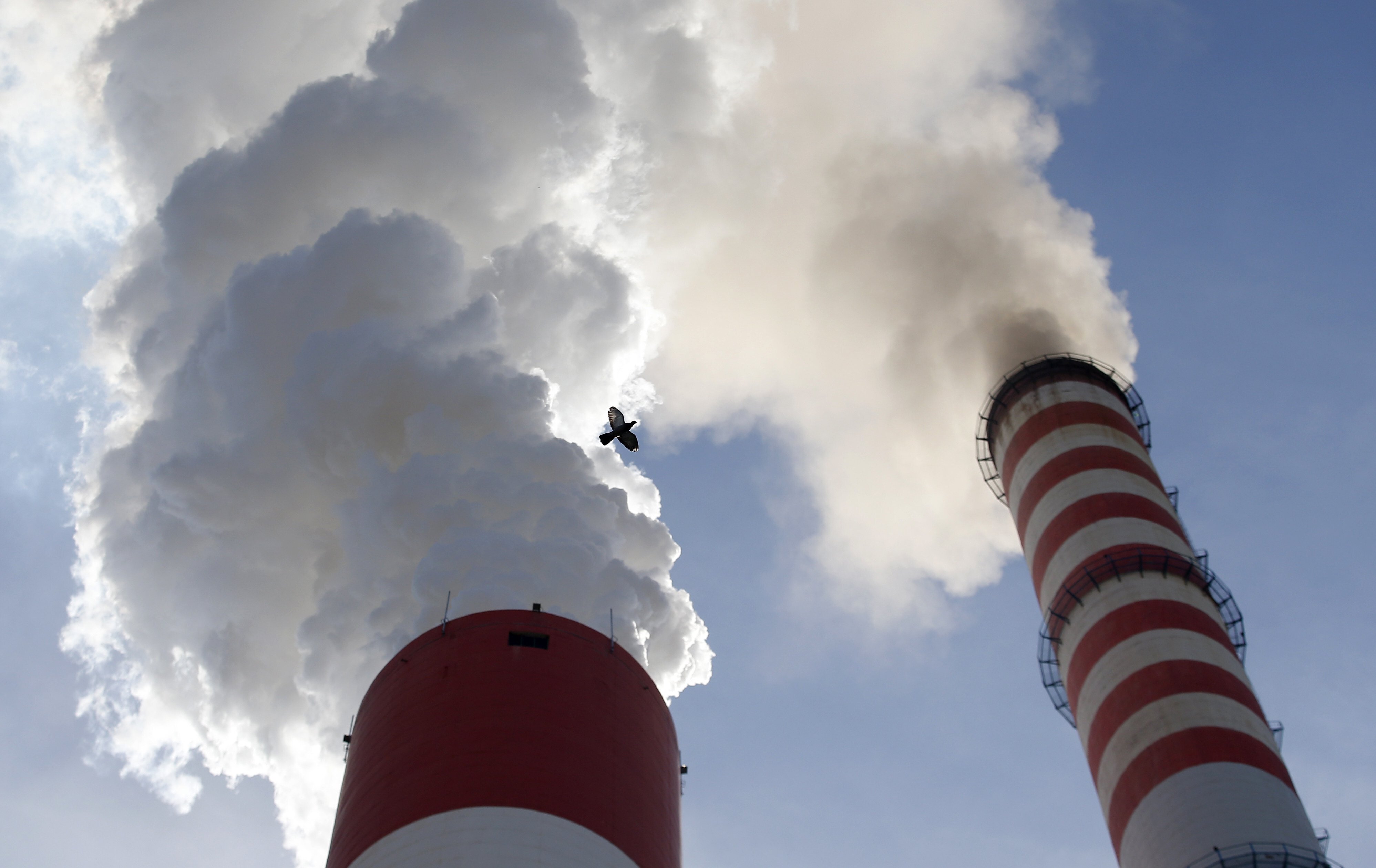 Smoke rises from the chimneys of a coal-fired power station. Photo: AP